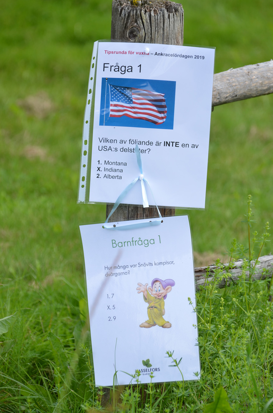 Röste.nu – Röstebilder – Ankracet i Galvån 2019