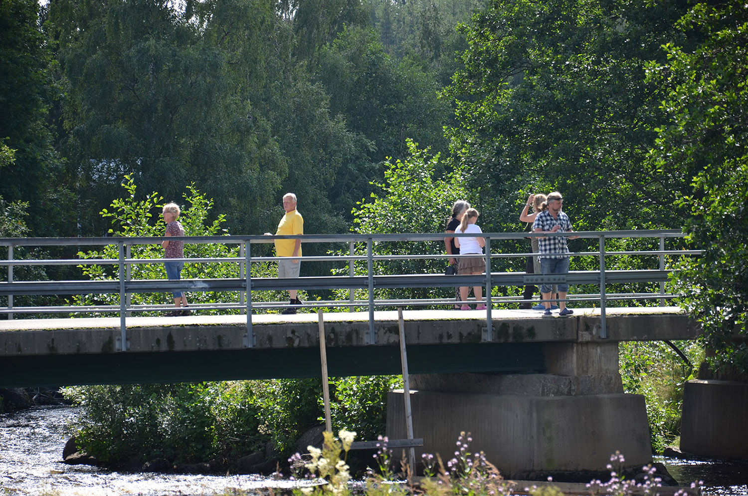 Röste.nu – Röstebilder – Ankracet i Galvån tioårsjubilerade 2015