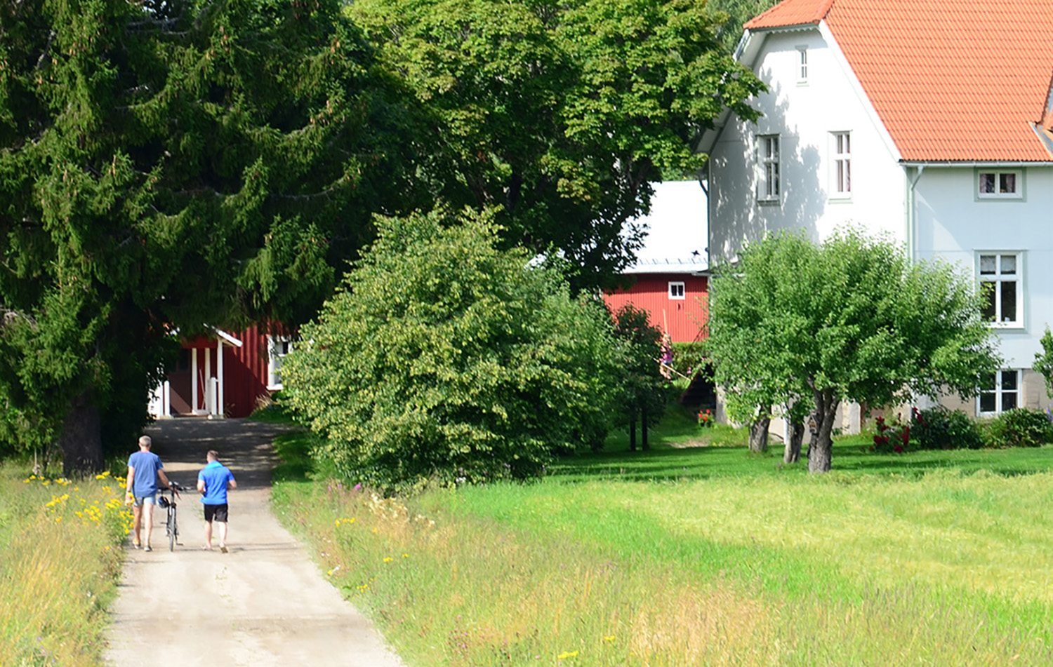 Röste.nu – Röstebilder – Ankracet i Galvån tioårsjubilerade 2015