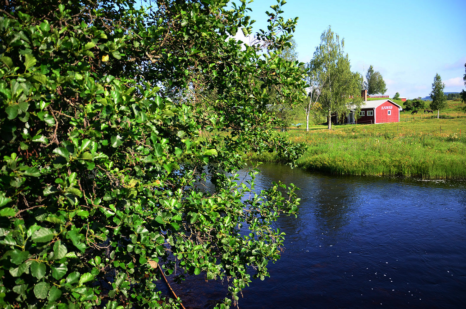 Röste.nu – Röstebilder – Ankracet i Galvån tioårsjubilerade 2015