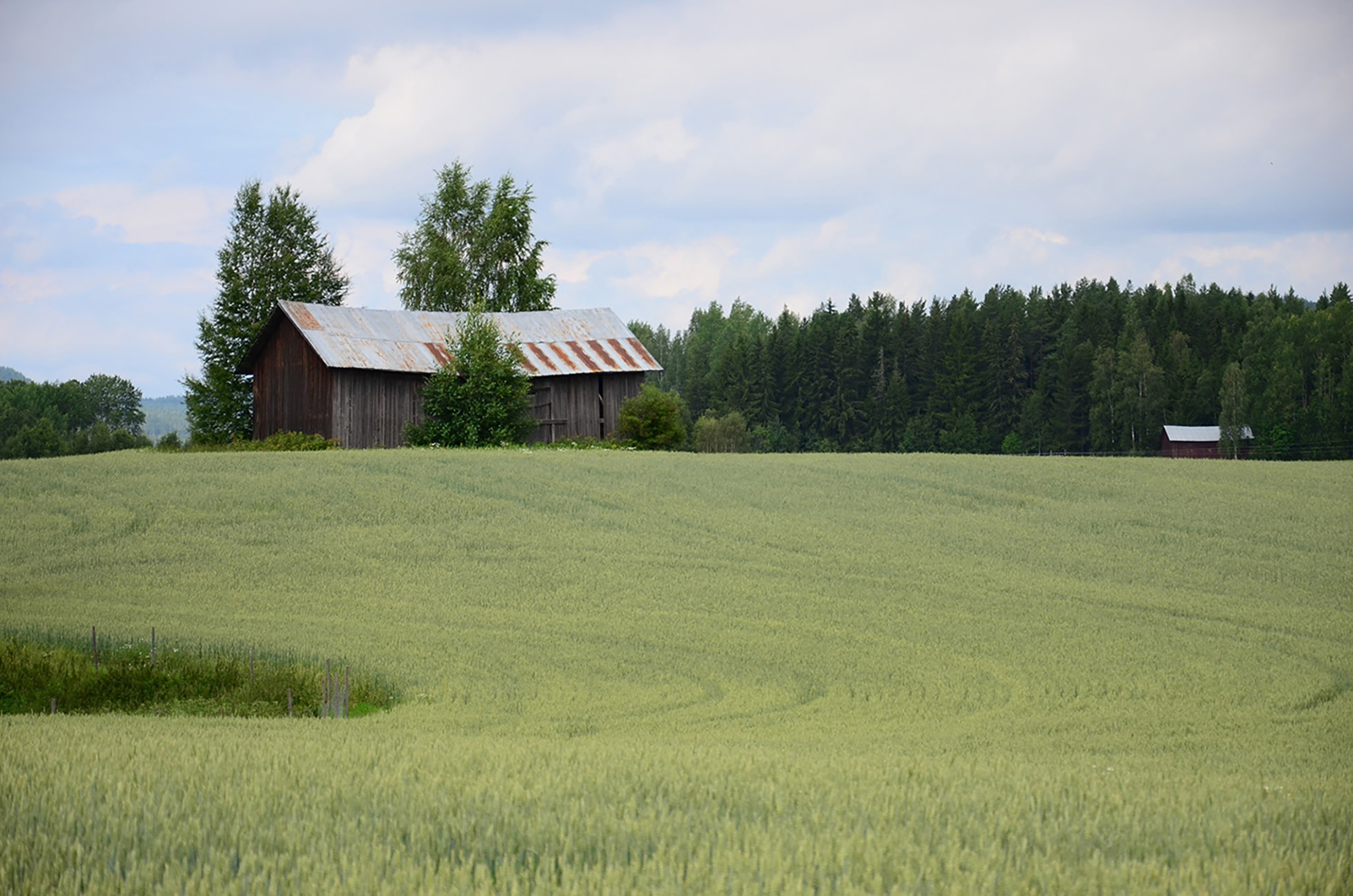 Röste.nu – Röstebilder – Ankracet i Galvån tioårsjubilerade 2015