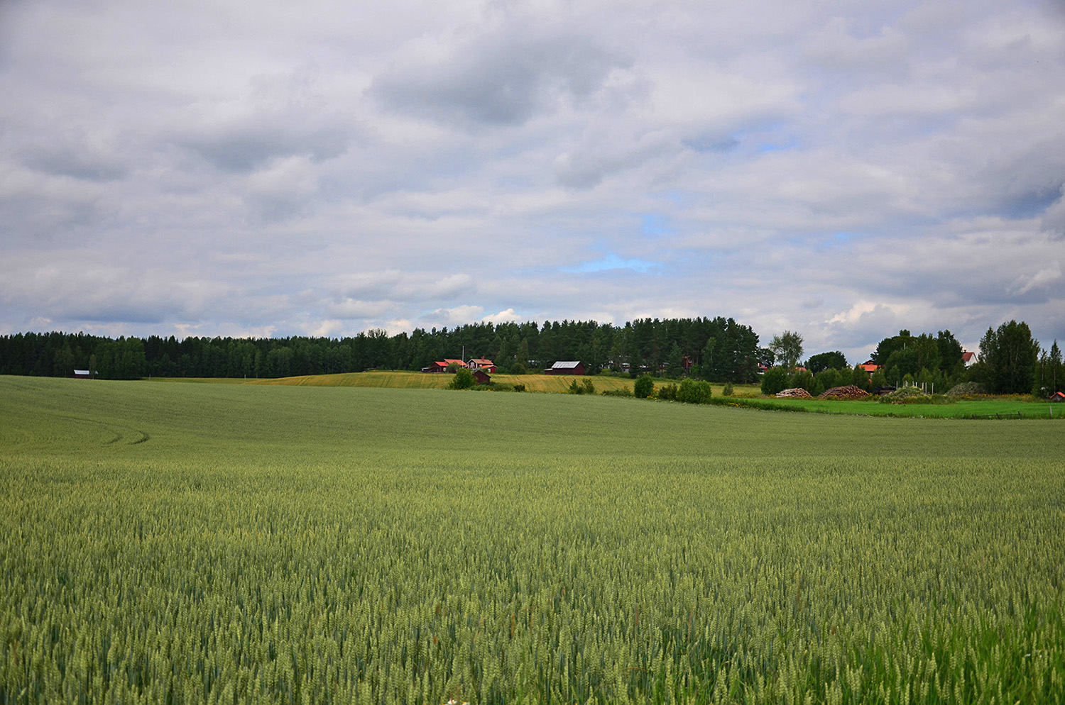 Röste.nu – Röstebilder – Ankracet i Galvån tioårsjubilerade 2015