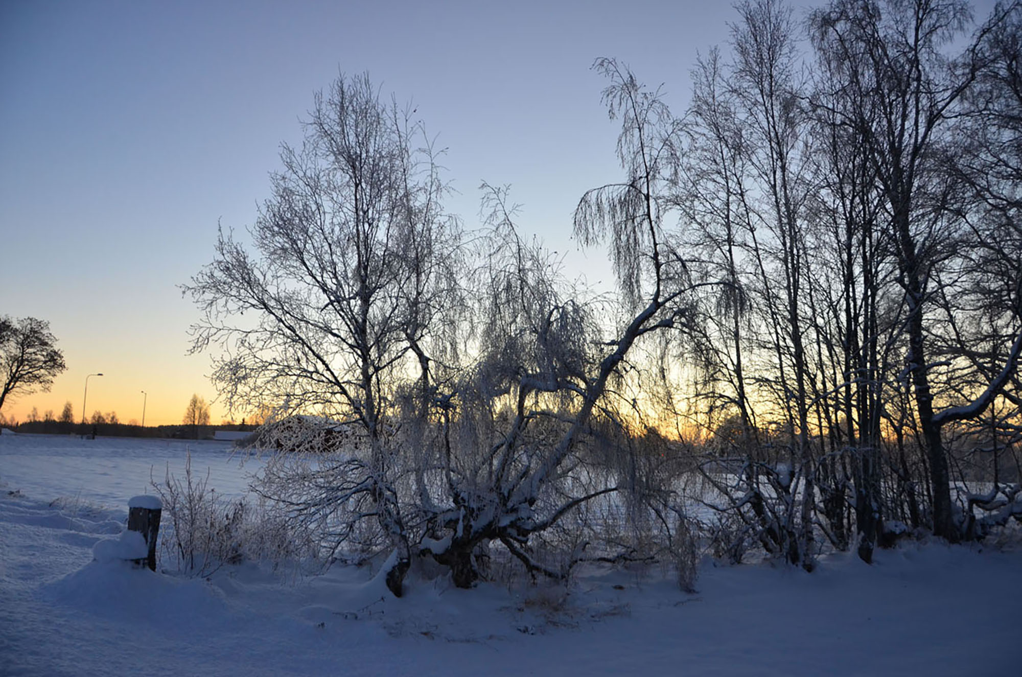Röste.nu – Röstebilder – Badresa till Himlabadet i Sundsvall 2016