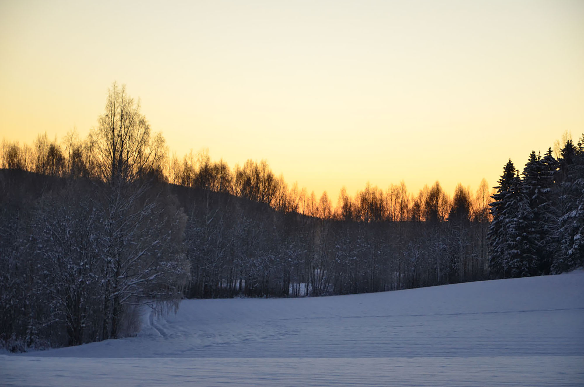 Röste.nu – Röstebilder – Badresa till Himlabadet i Sundsvall 2016