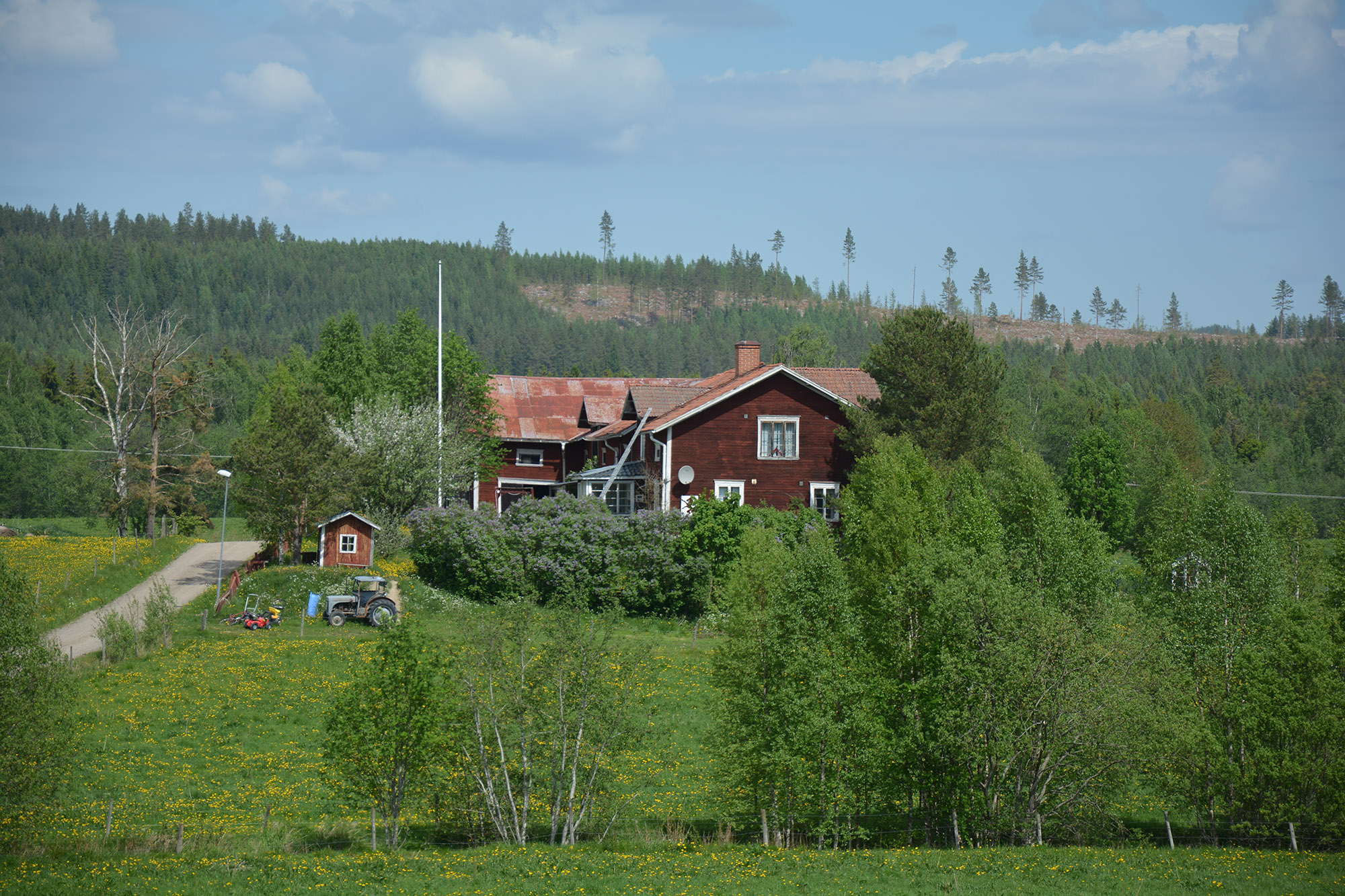 Röste.nu – Röstebilder – Blandade sommarbilder från Röste 2020