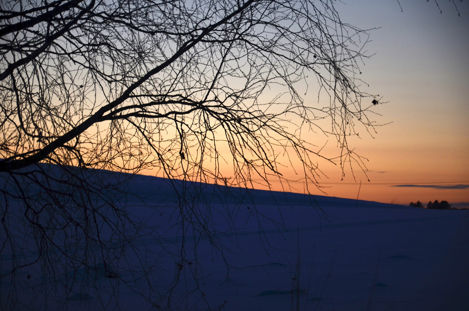 Röste.nu – Röstebilder – Föreningsstämma i Dönjegården 2016