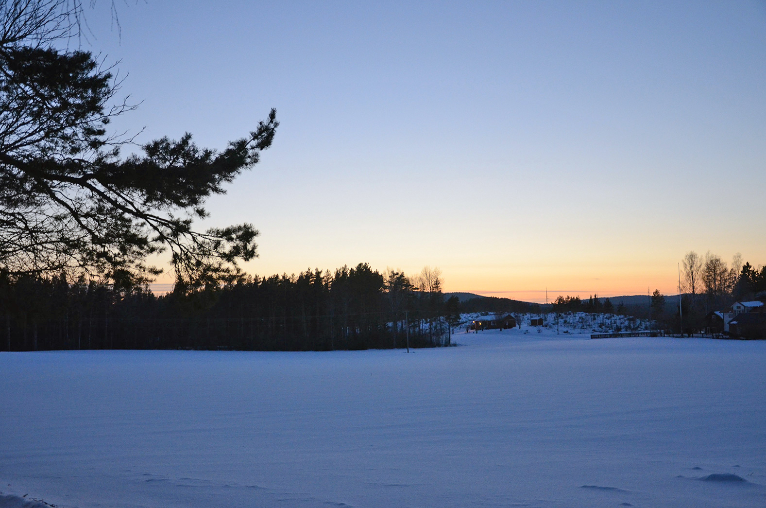 Röste.nu – Röstebilder – Föreningsstämma med thailändsk middag 2016