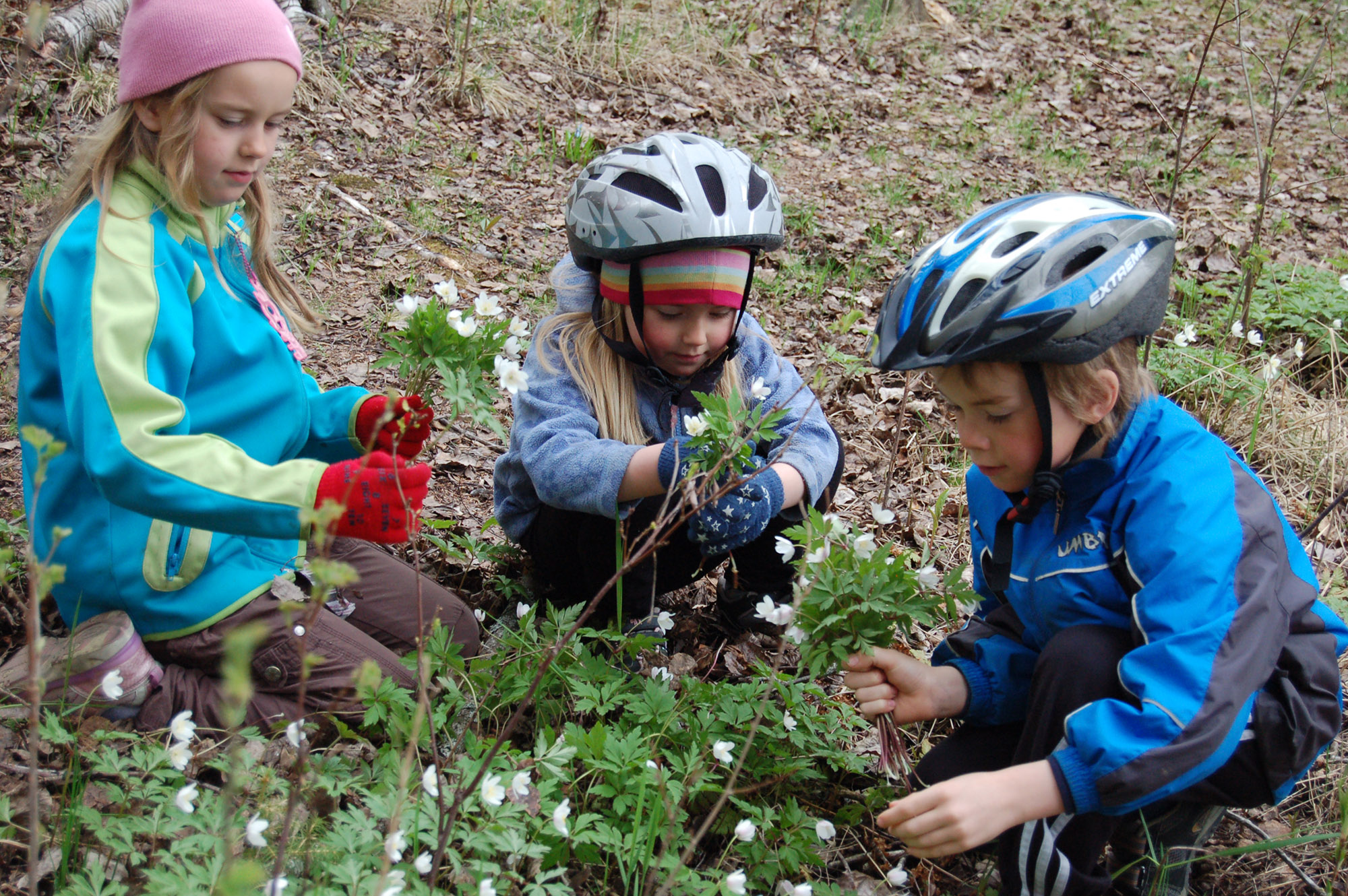 Röste.nu – Röstebilder – Gökotta på Per-Ers udde 2010