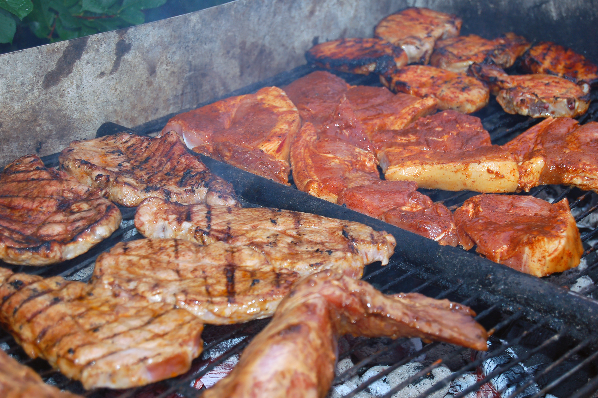 Röste.nu –Röstebilder – Grill- och familjefest på Dönjegården 2008