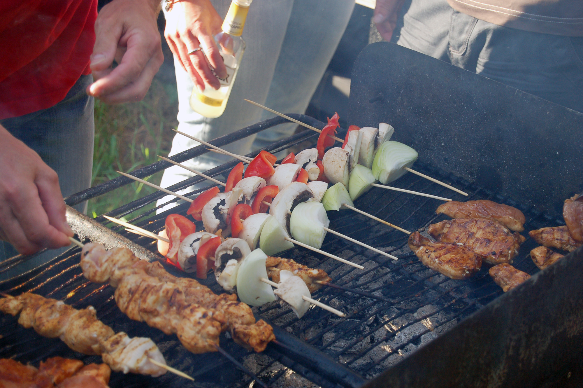 Röste.nu – Röstebilder – Grill- och familjefest på Dönjegården 2011