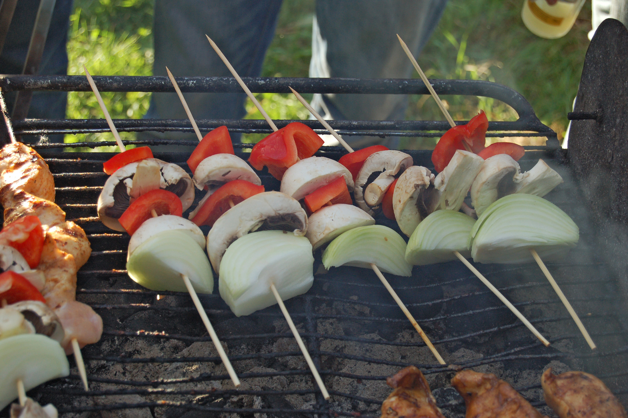 Röste.nu – Röstebilder – Grill- och familjefest på Dönjegården 2011