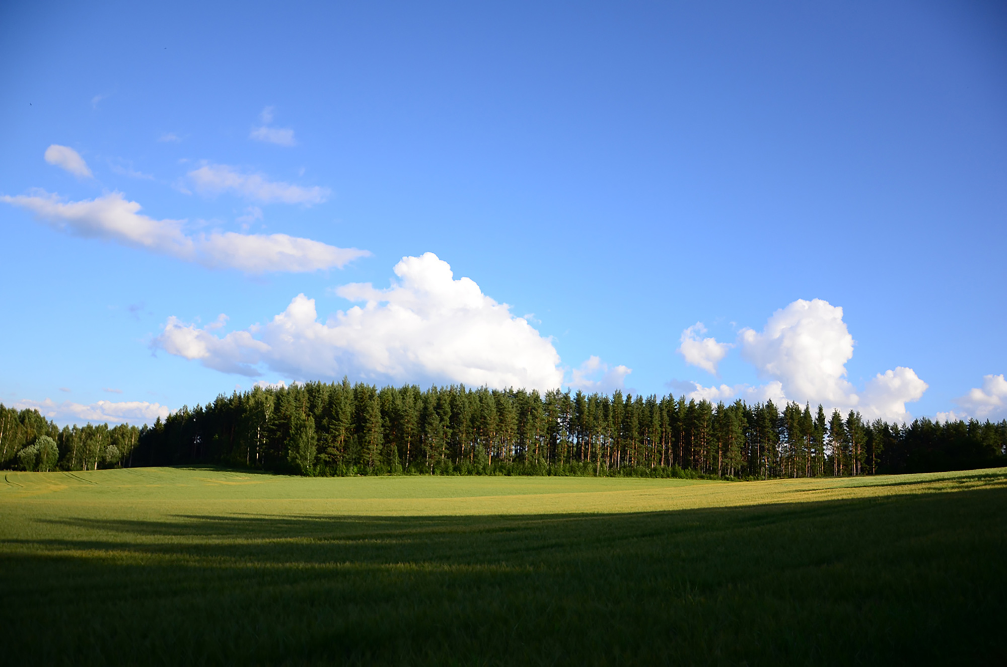 Röste.nu – Röstebilder – Grill- och familjefest på Dönjegården 2015