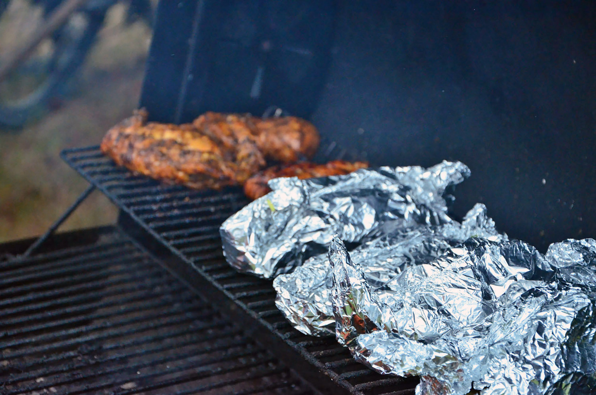 Röste.nu – Röstebilder – Grill- och familjefest på Dönjegården 2016