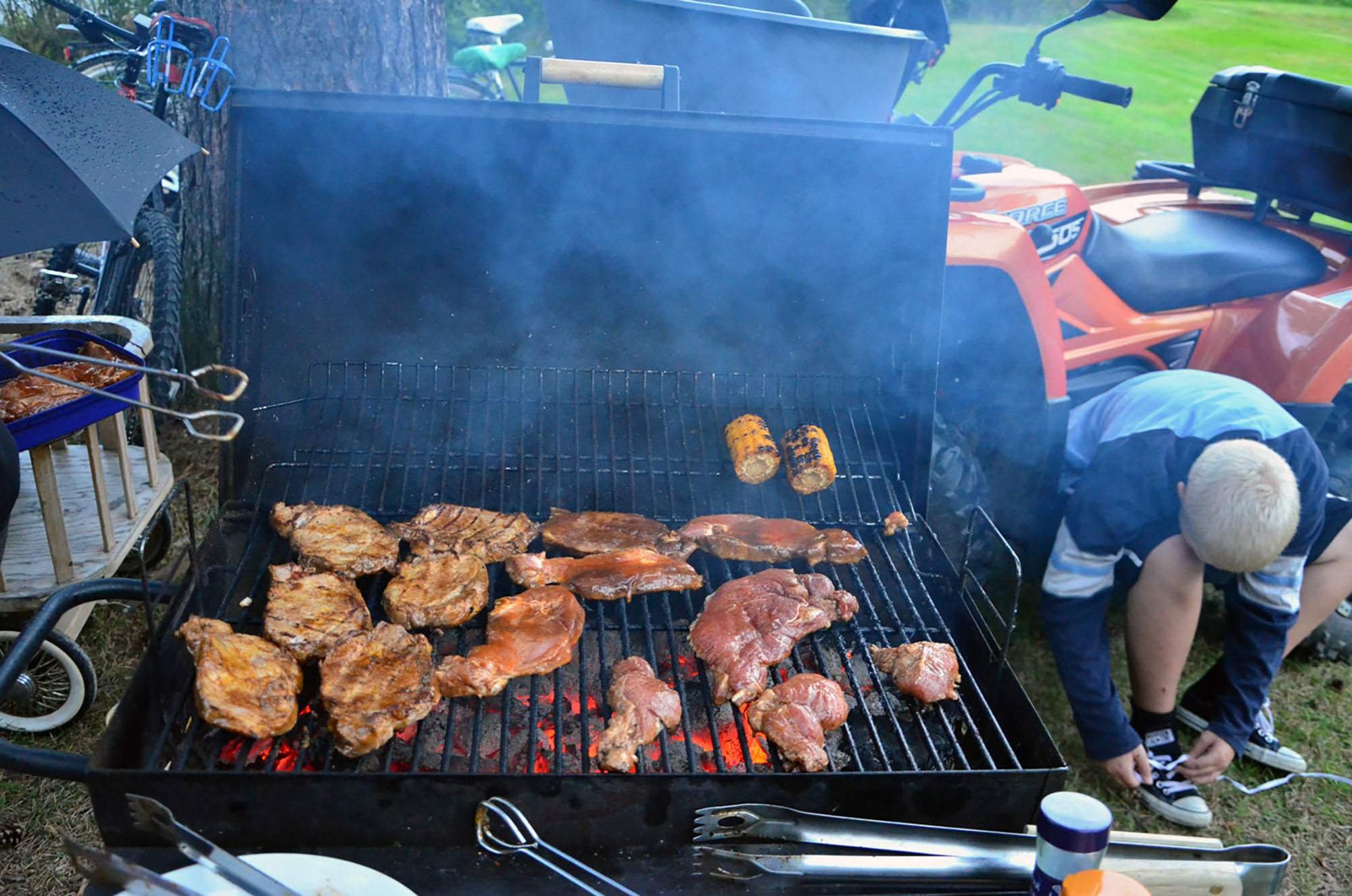 Röste.nu – Röstebilder – Grill- och familjefest på Dönjegården 2016
