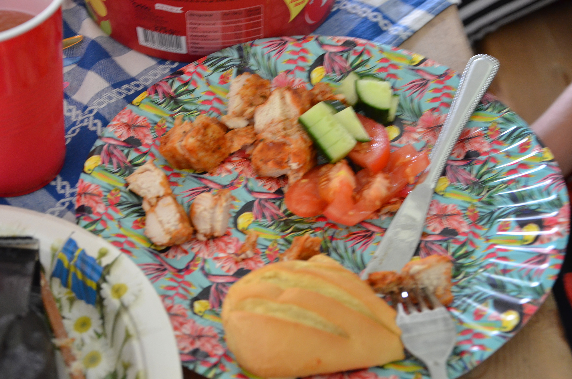 Röste.nu – Röstebilder – Grill- och familjefest på Dönjegården 2018