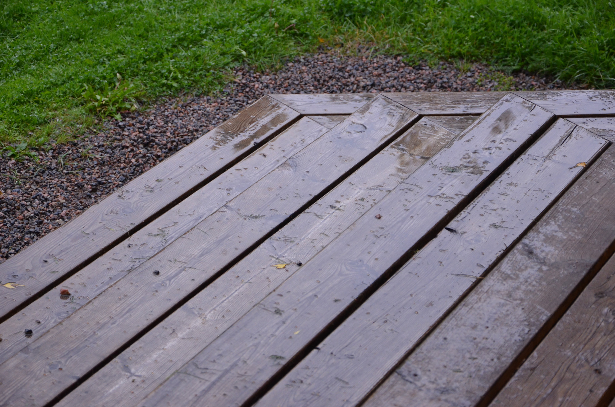 Röste.nu – Röstebilder – Grill- och familjefest på Dönjegården 2019