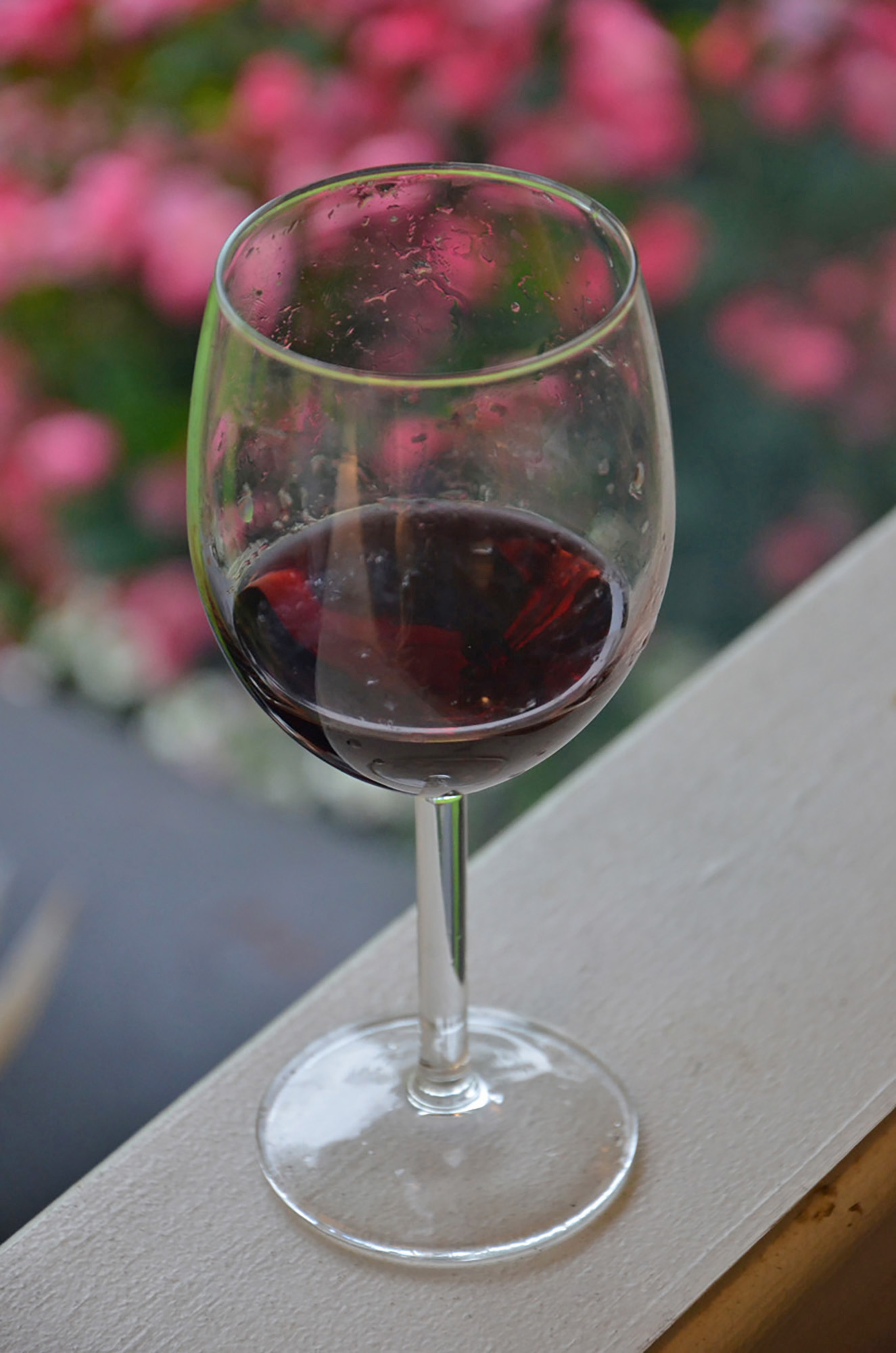 Röste.nu – Röstebilder – Grill- och familjefest på Dönjegården 2019