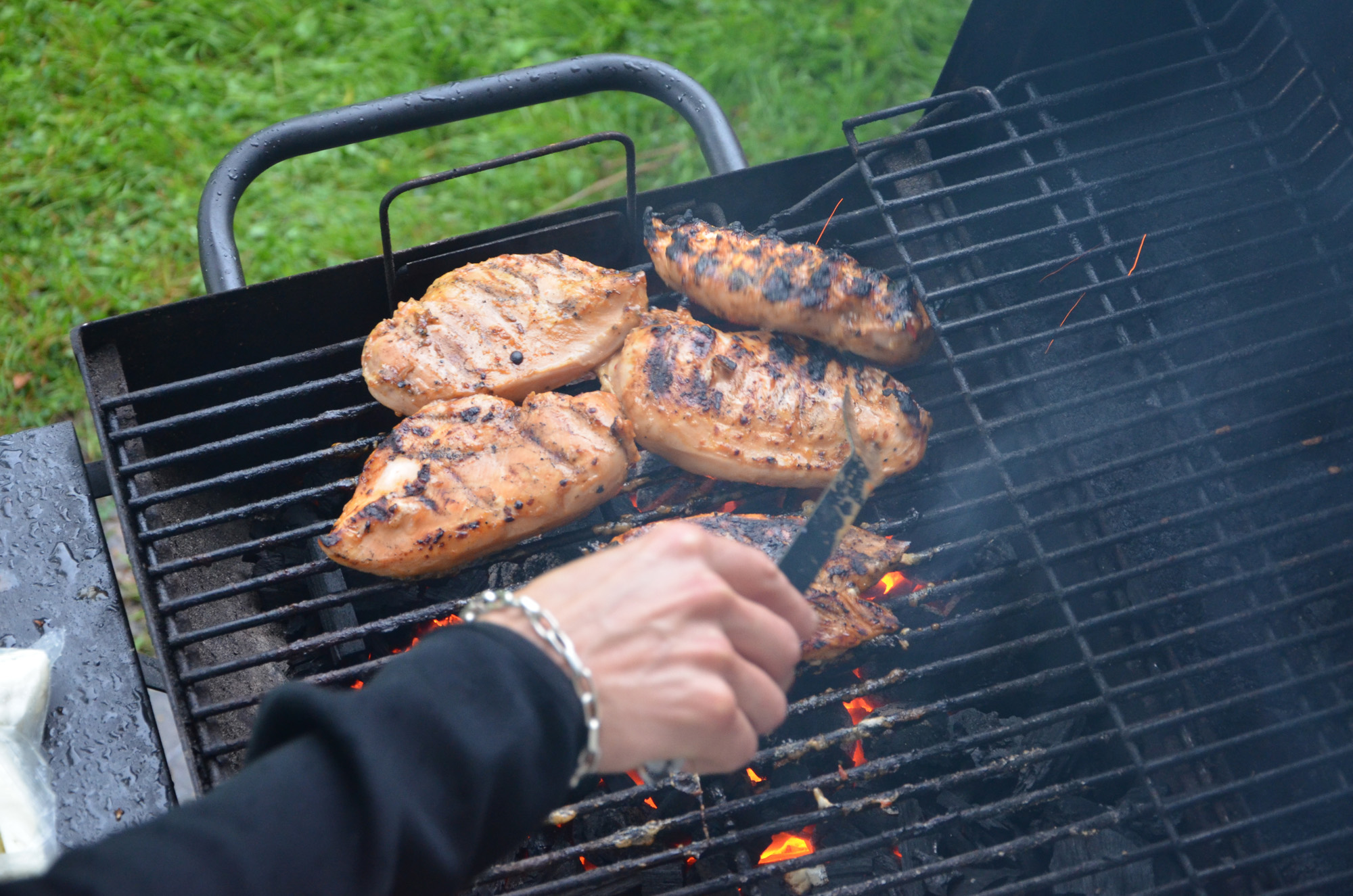 Röste.nu – Röstebilder – Grill- och familjefest på Dönjegården 2019