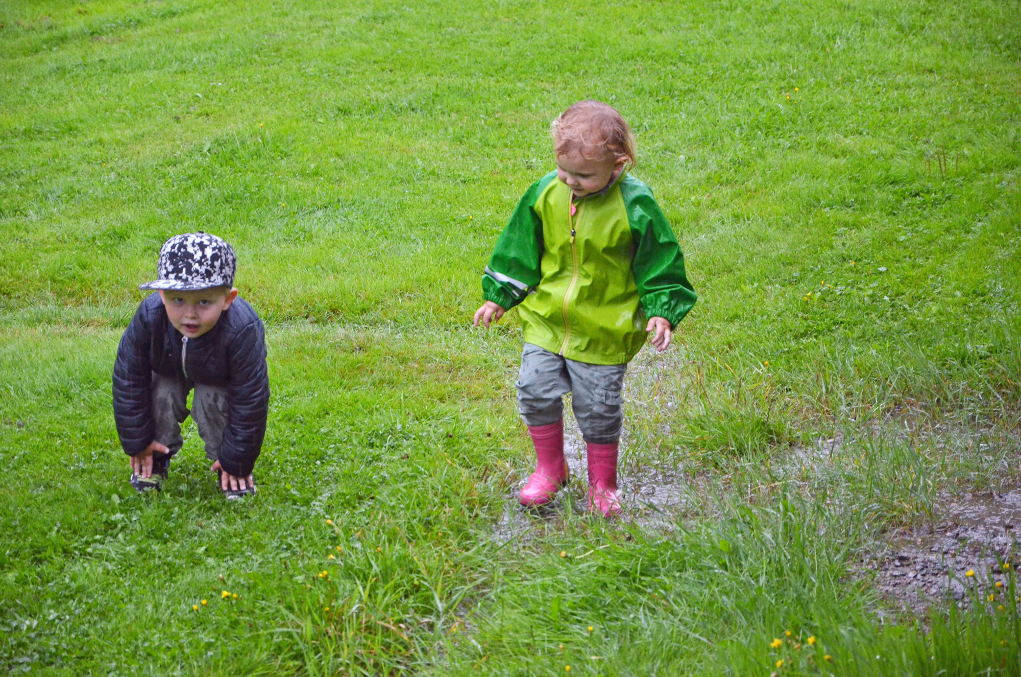 Röste.nu – Röstebilder – Grill- och familjefest på Dönjegården 2019