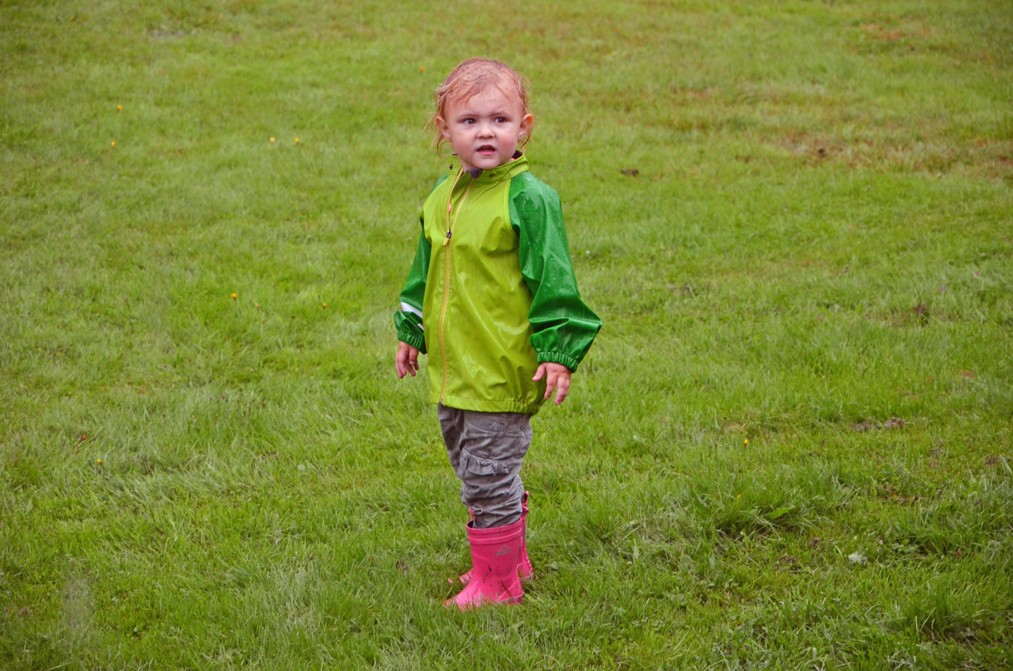 Röste.nu – Röstebilder – Grill- och familjefest på Dönjegården 2019