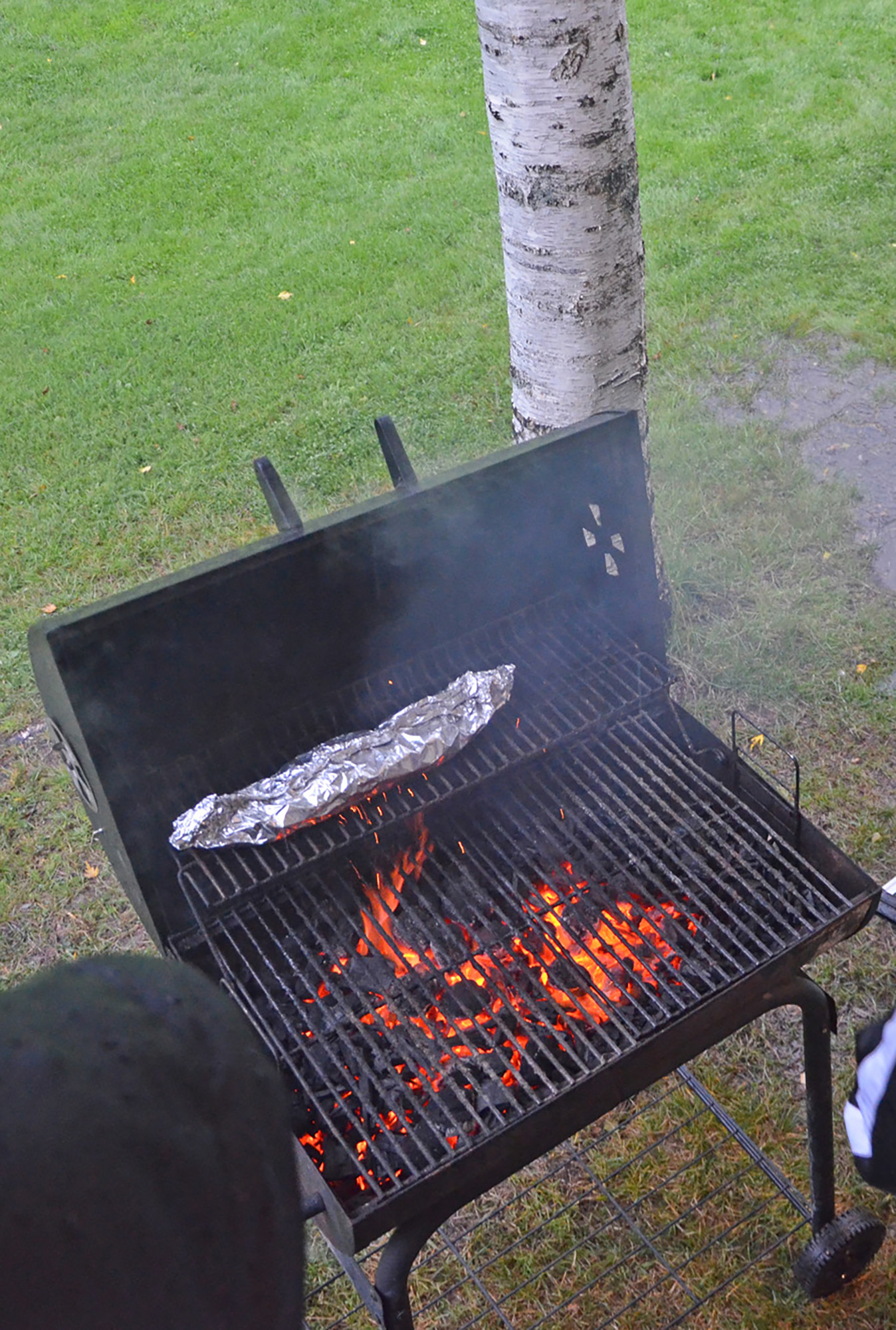 Röste.nu – Röstebilder – Grill- och familjefest på Dönjegården 2019