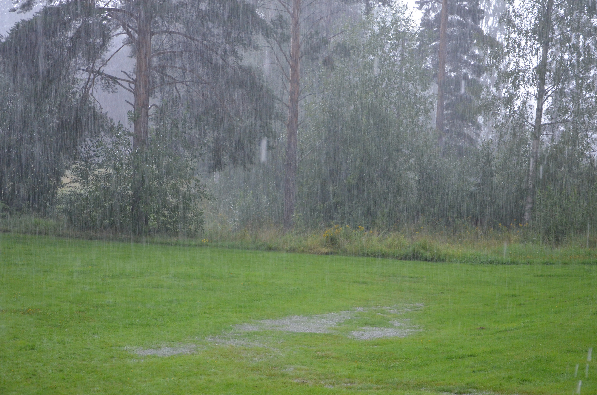 Röste.nu – Röstebilder – Grill- och familjefest på Dönjegården 2019