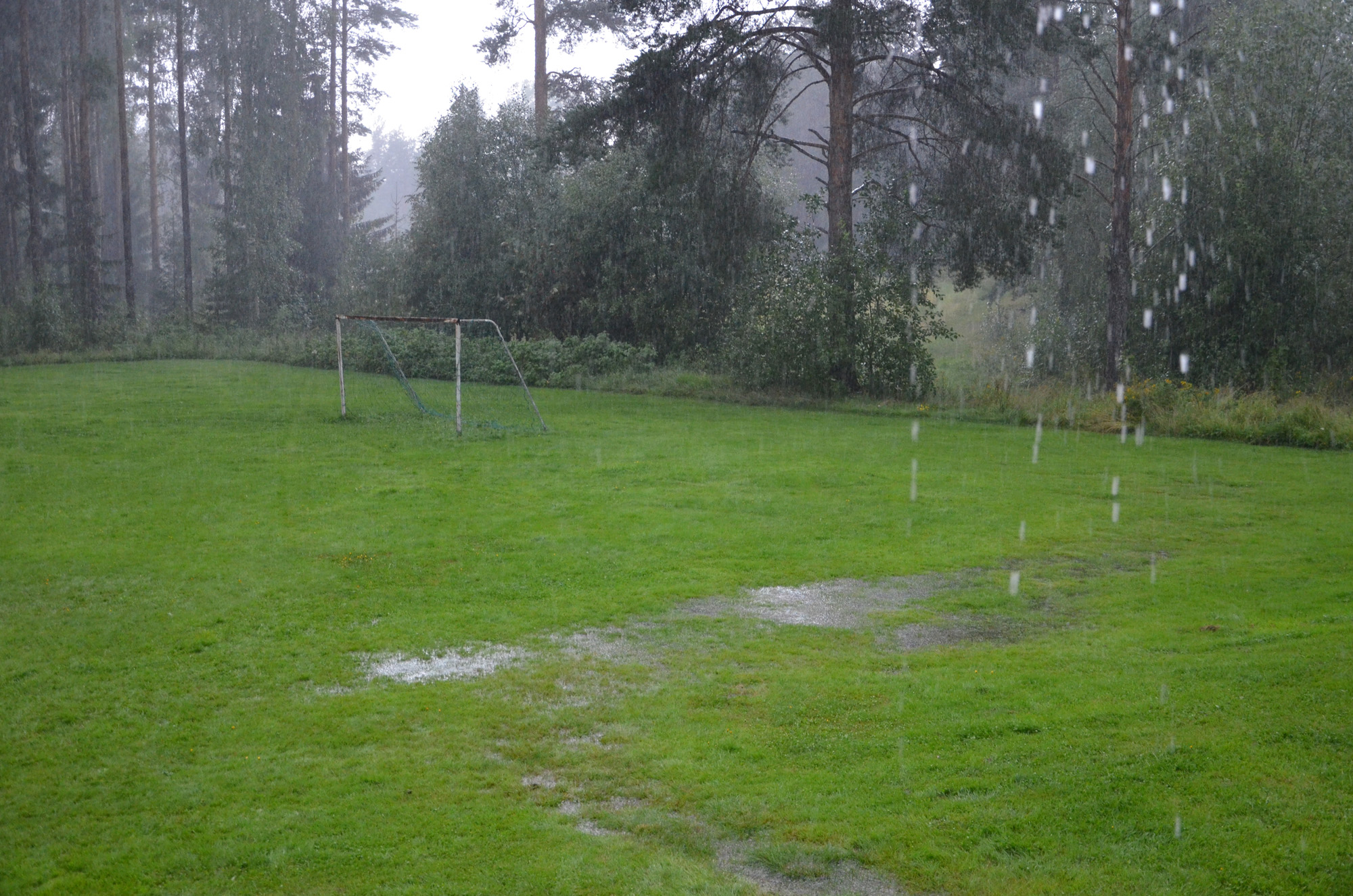 Röste.nu – Röstebilder – Grill- och familjefest på Dönjegården 2019