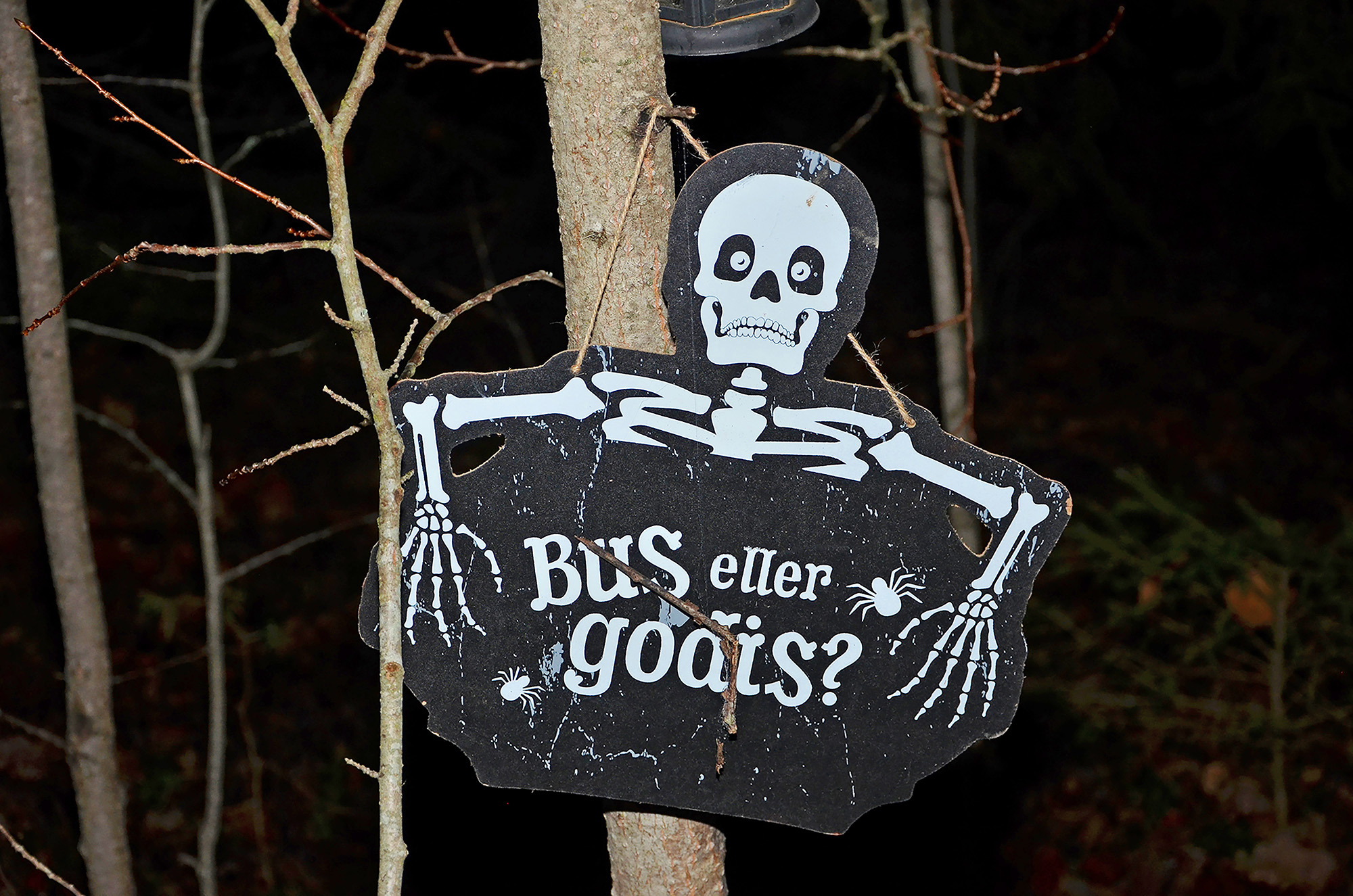 Röste.nu – Röstebilder – Halloweendisco och spökvandring vid Dönjegården 2022