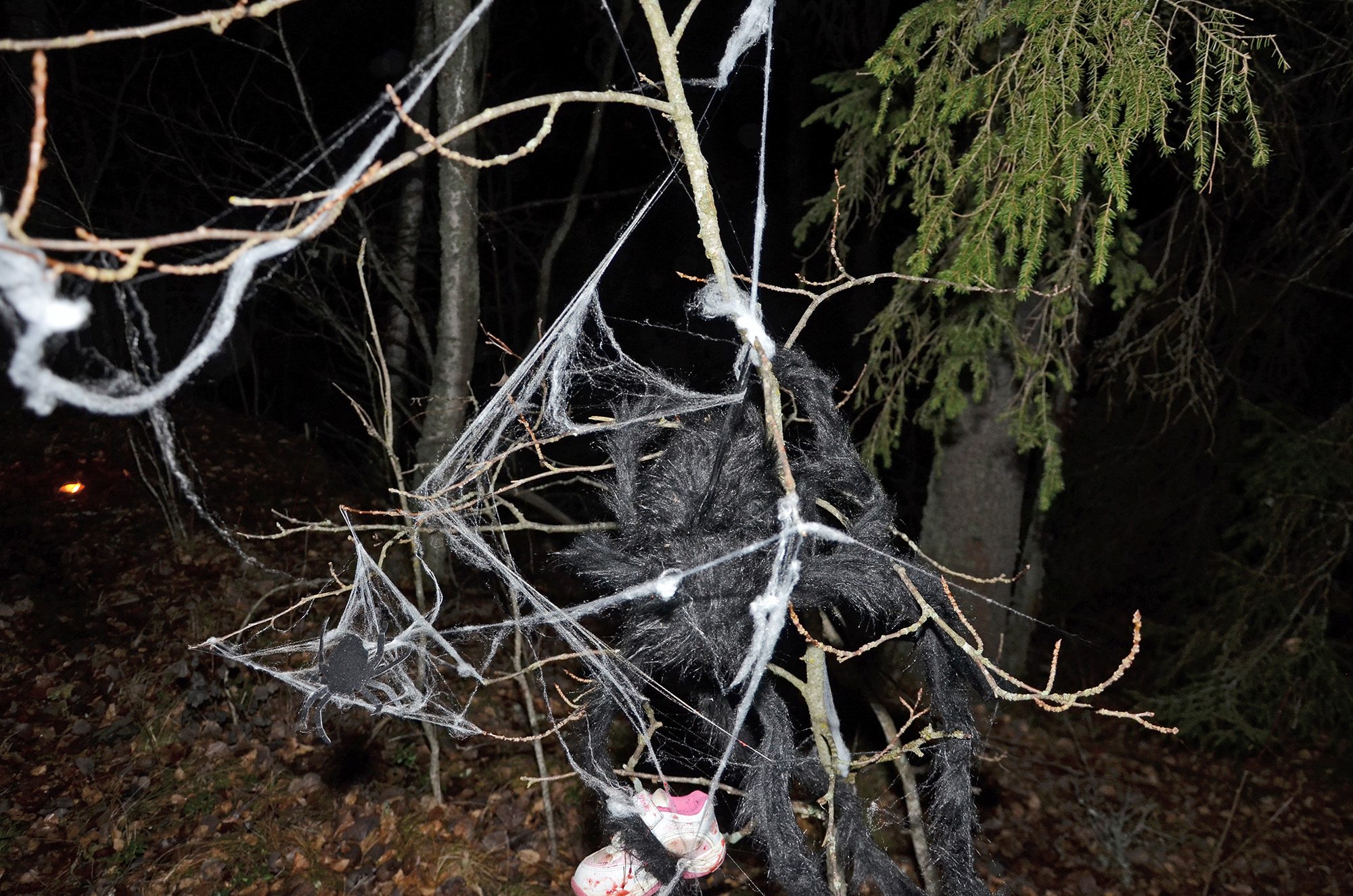 Röste.nu – Röstebilder – Halloweendisco och spökvandring vid Dönjegården 2022