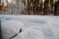Röste.nu – Röstebilder – Julgransplundring i Dönjegården 2010