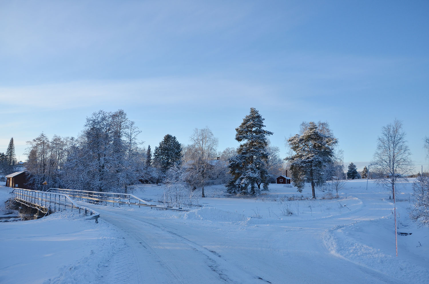 Röste.nu – Röstebilder – Julgransplundring i Dönjegården 2017