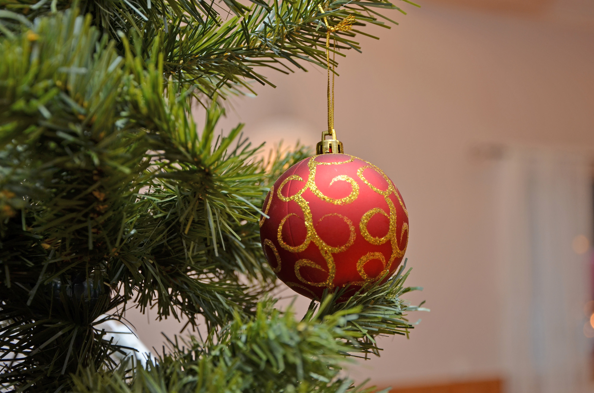 Röste.nu – Röstebilder – Julgransplundring i Dönjegården 2020