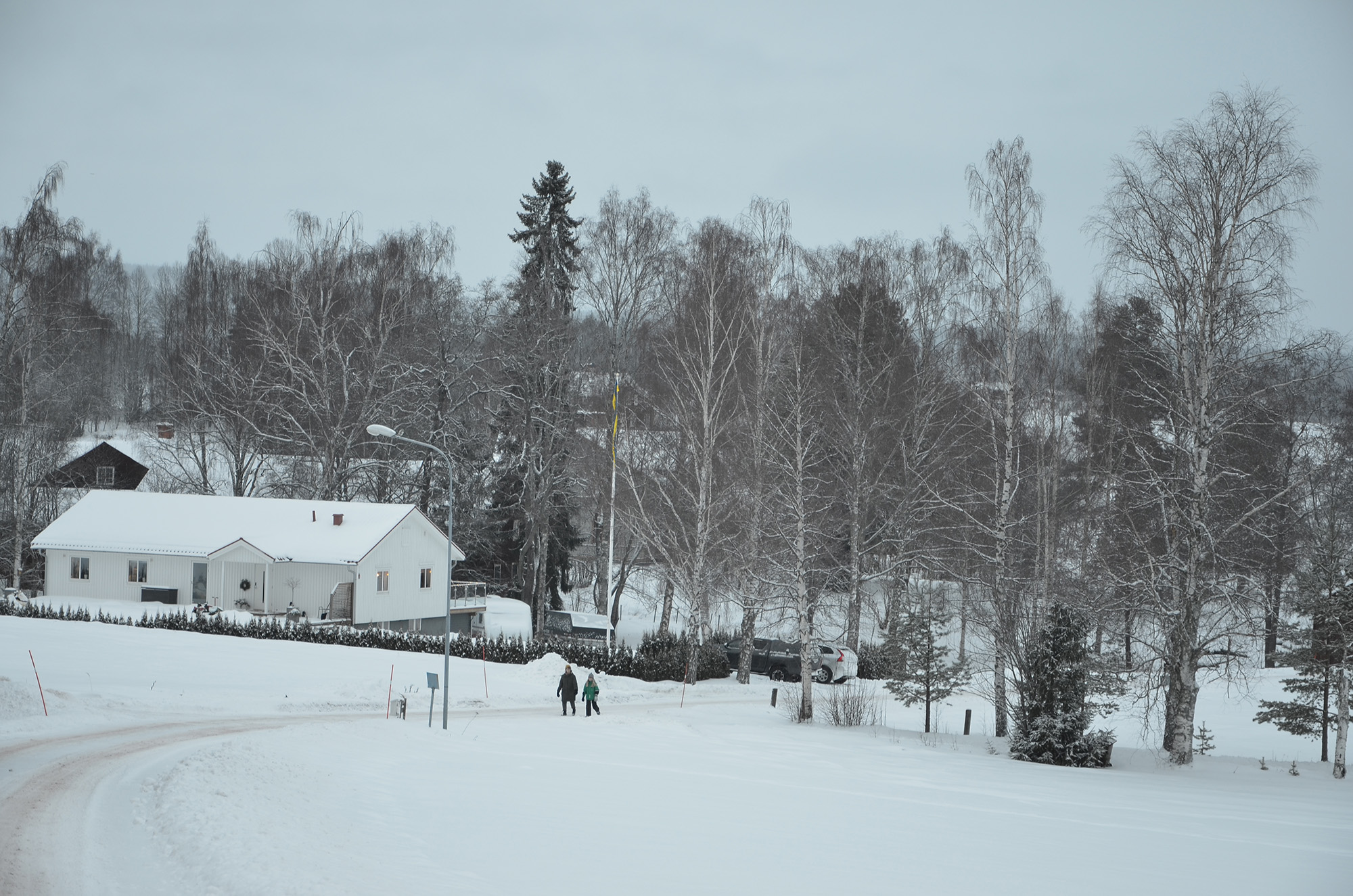 Röste.nu – Röstebilder – Julgransplundring i Dönjegården 2023