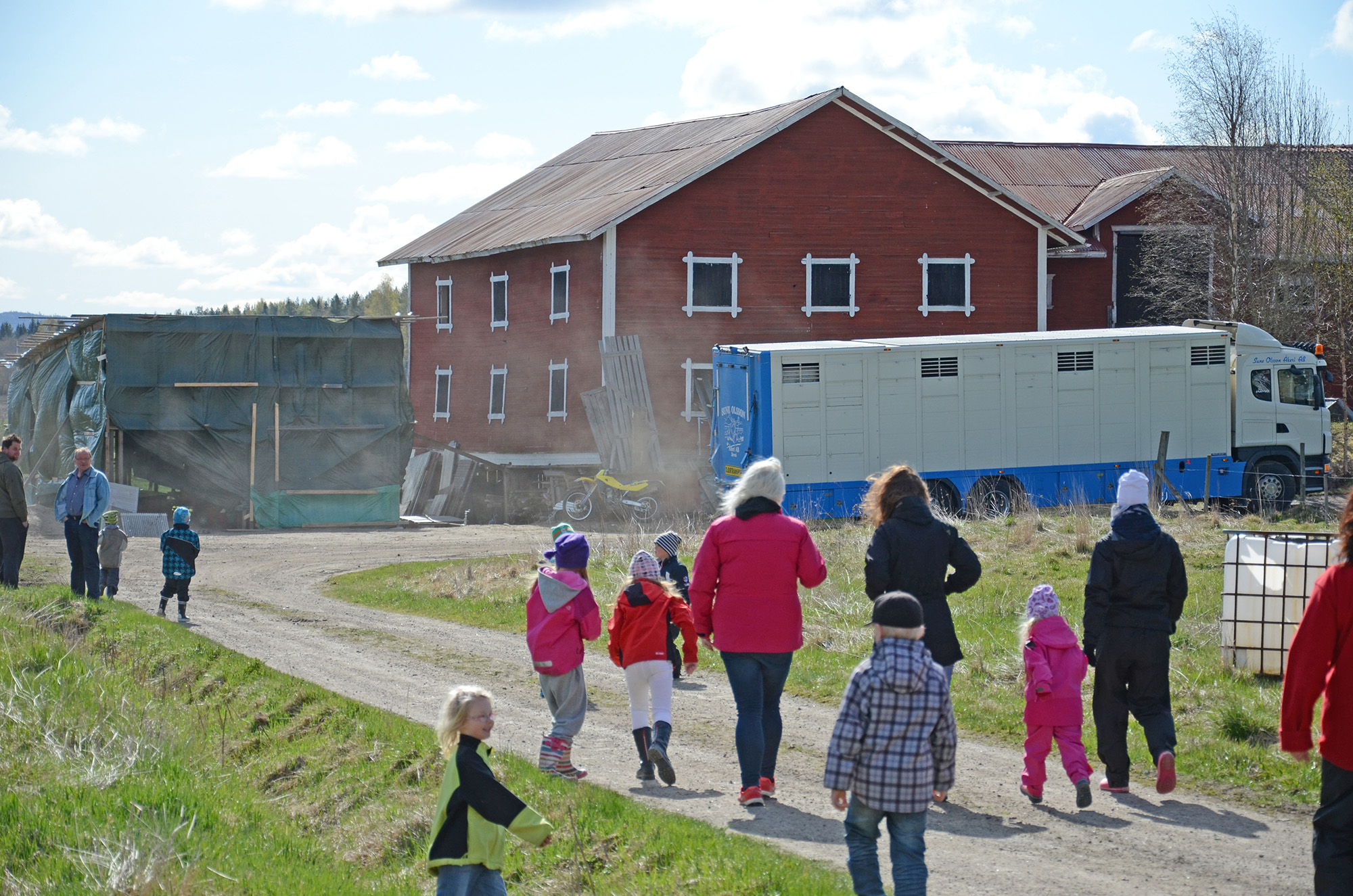 Röste.nu – Röstebilder – 140 kor mötte friheten i Holmo 2014