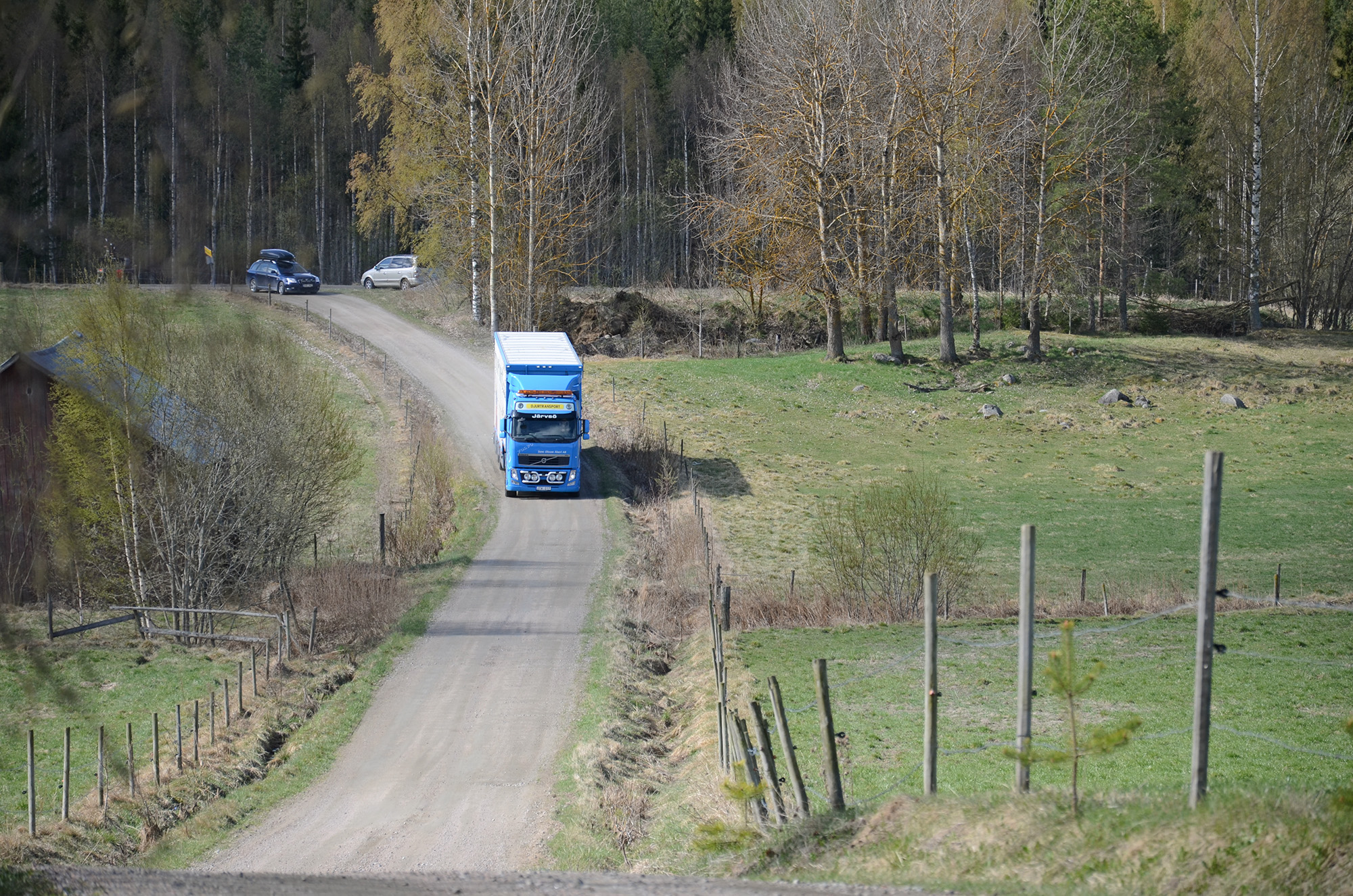 Röste.nu – Röstebilder – 140 kor mötte friheten i Holmo 2014