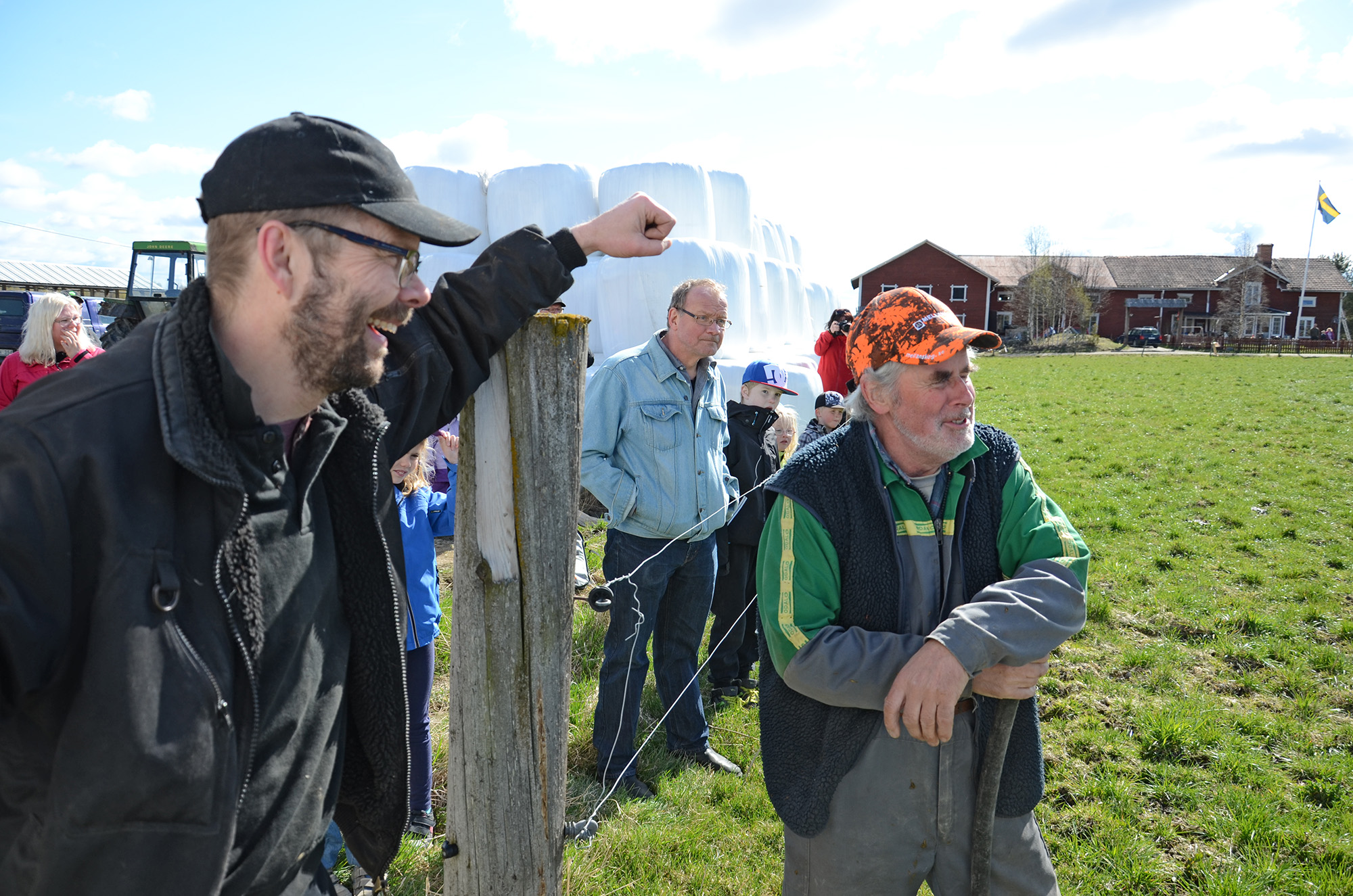 Röste.nu – Röstebilder – 140 kor mötte friheten i Holmo 2014