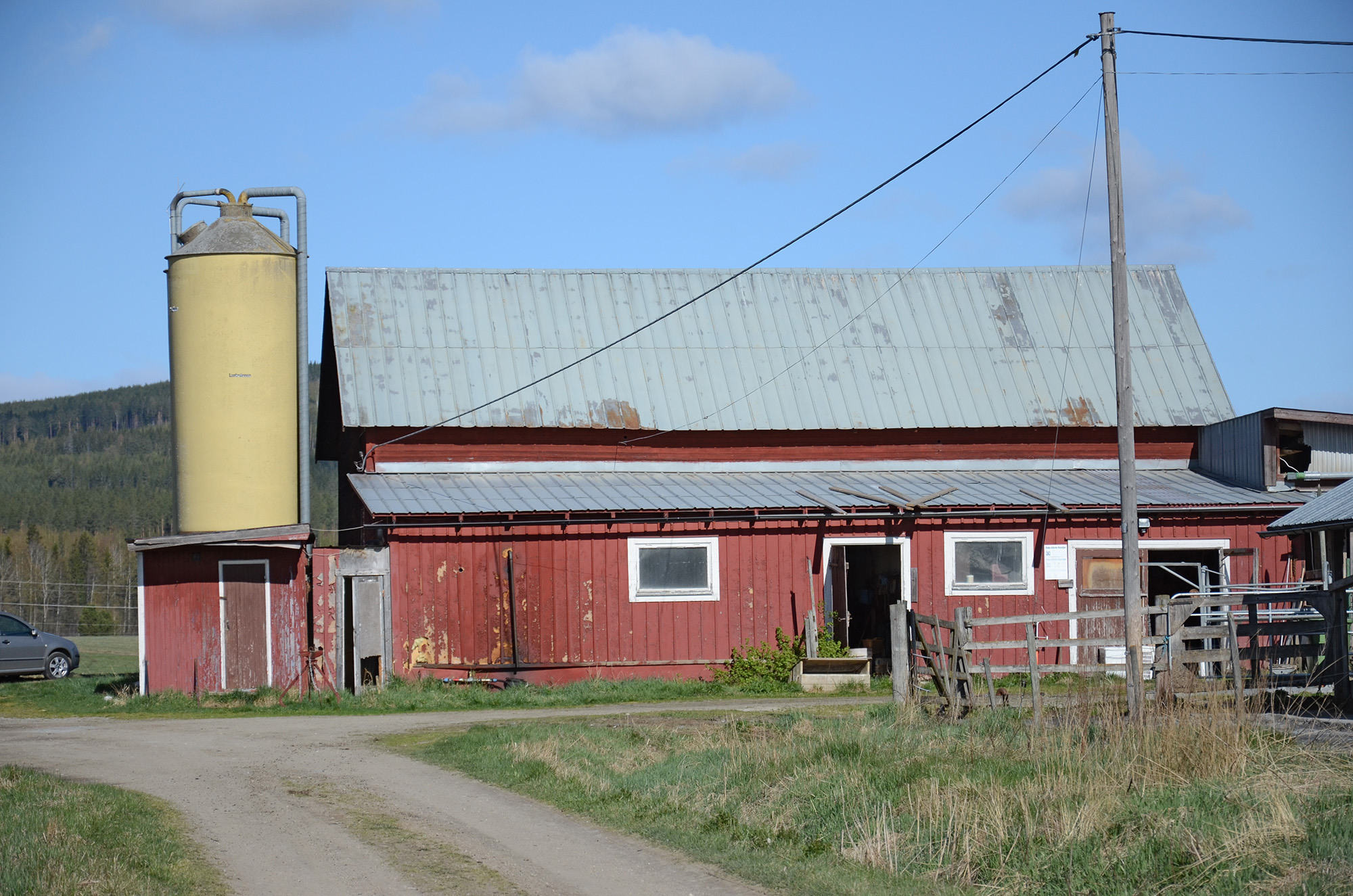 Röste.nu – Röstebilder – 140 kor mötte friheten i Holmo 2014