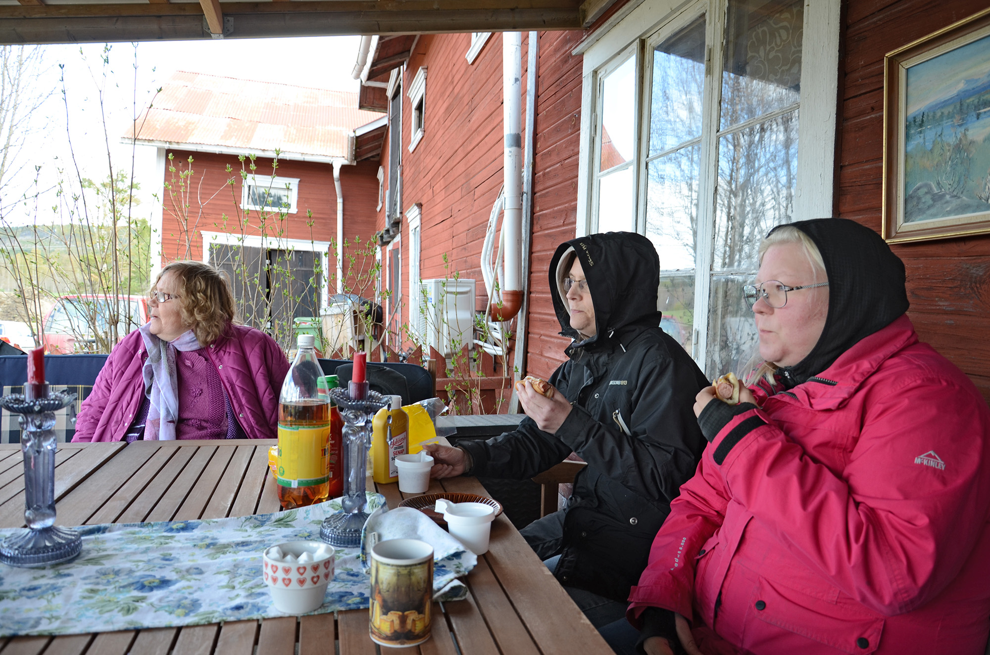 Röste.nu – Röstebilder – 140 kor mötte friheten i Holmo 2014