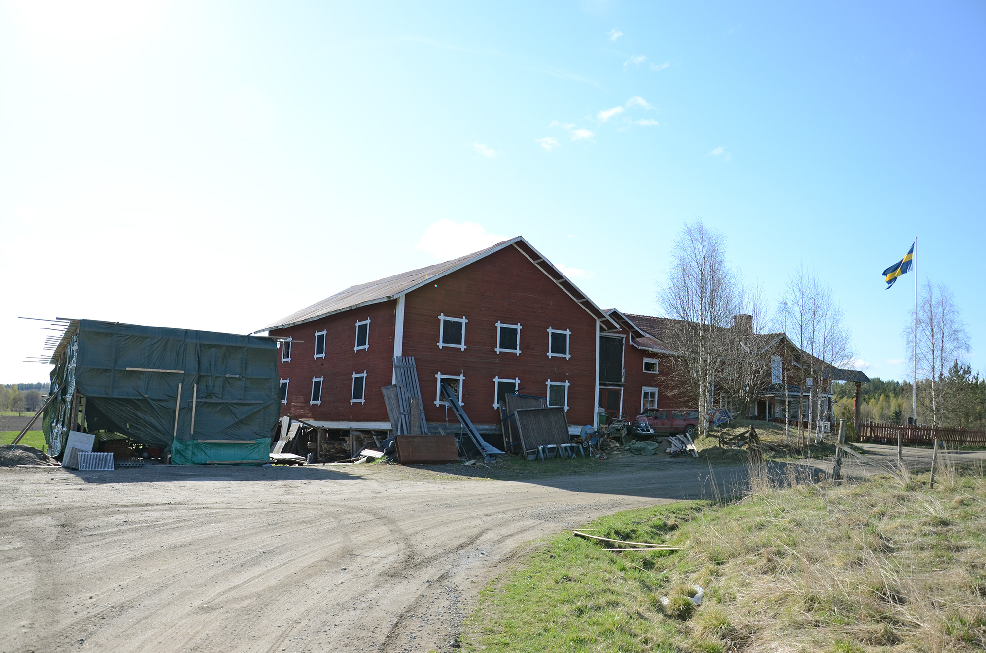 Röste.nu – Röstebilder – 140 kor mötte friheten i Holmo 2014