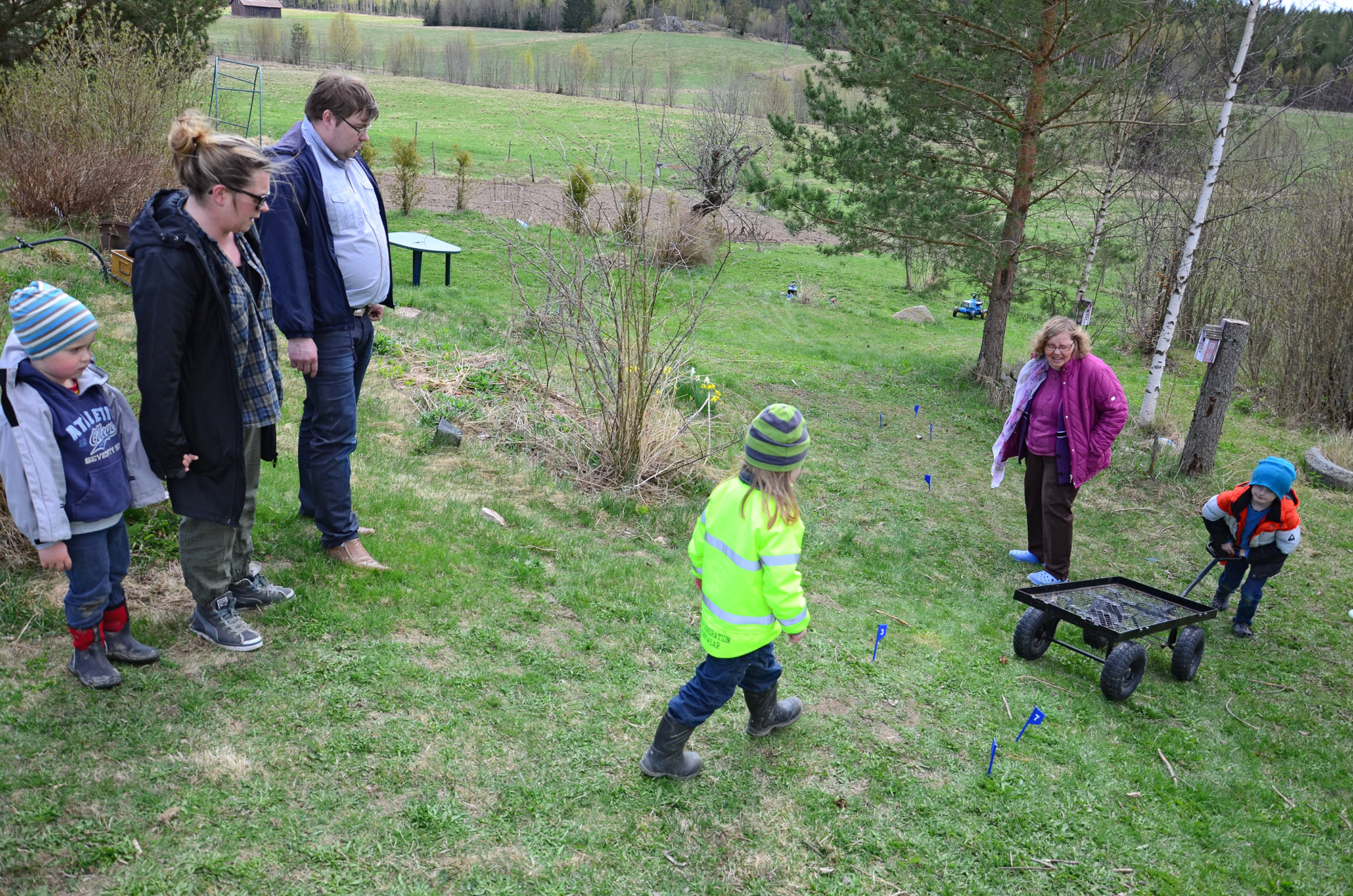 Röste.nu – Röstebilder – 140 kor mötte friheten i Holmo 2014