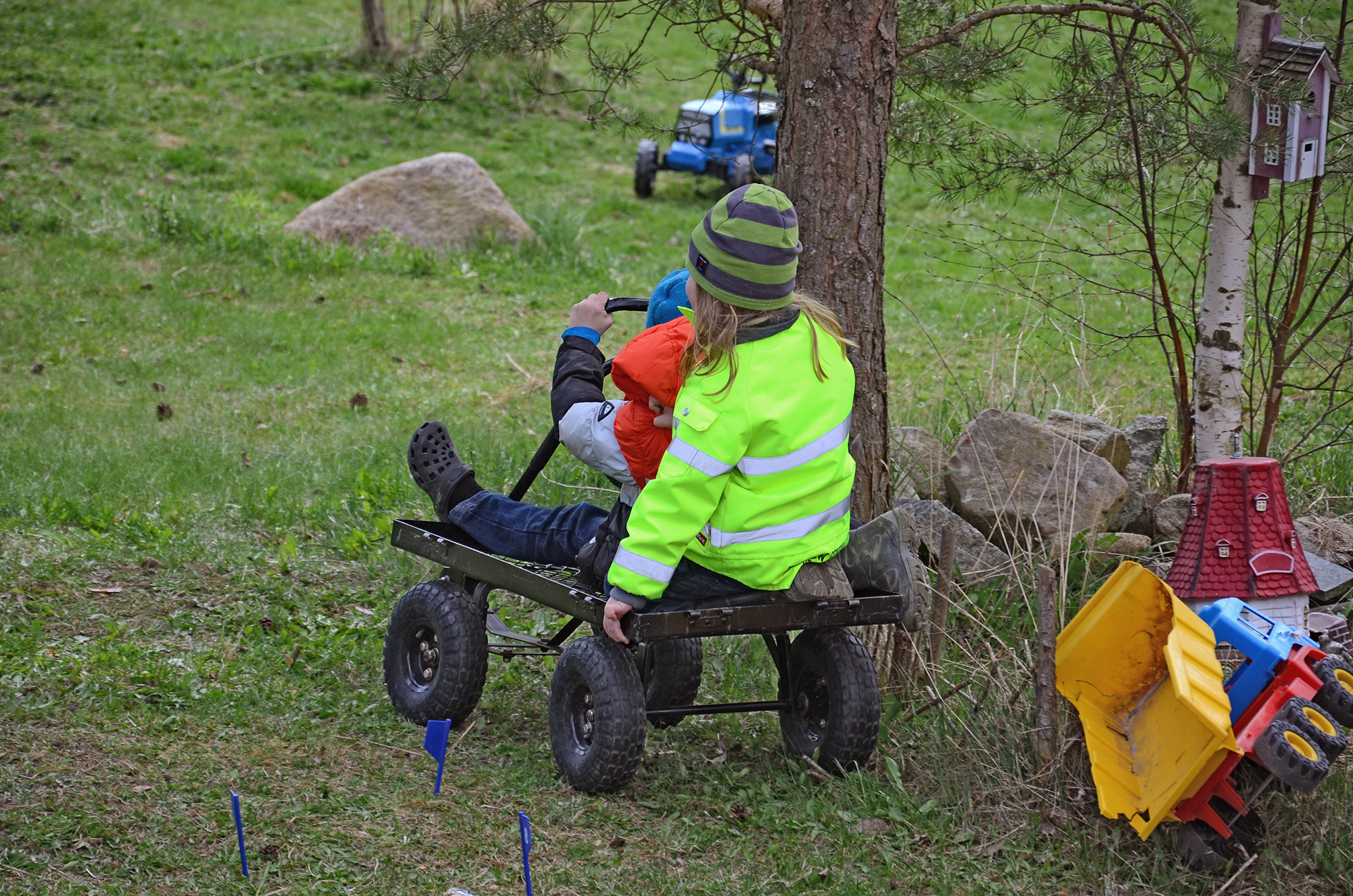 Röste.nu – Röstebilder – 140 kor mötte friheten i Holmo 2014