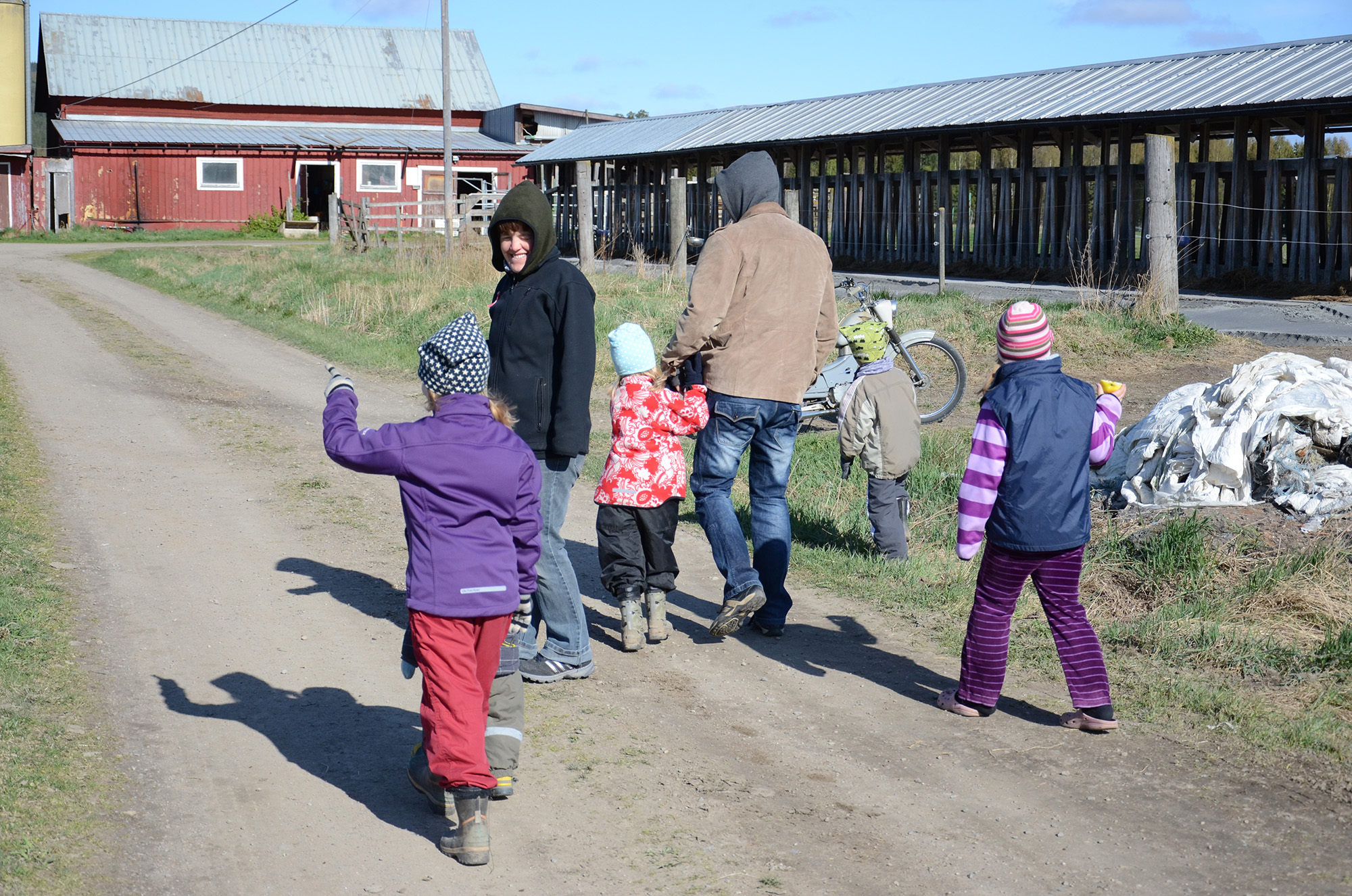 Röste.nu – Röstebilder – 140 kor mötte friheten i Holmo 2014