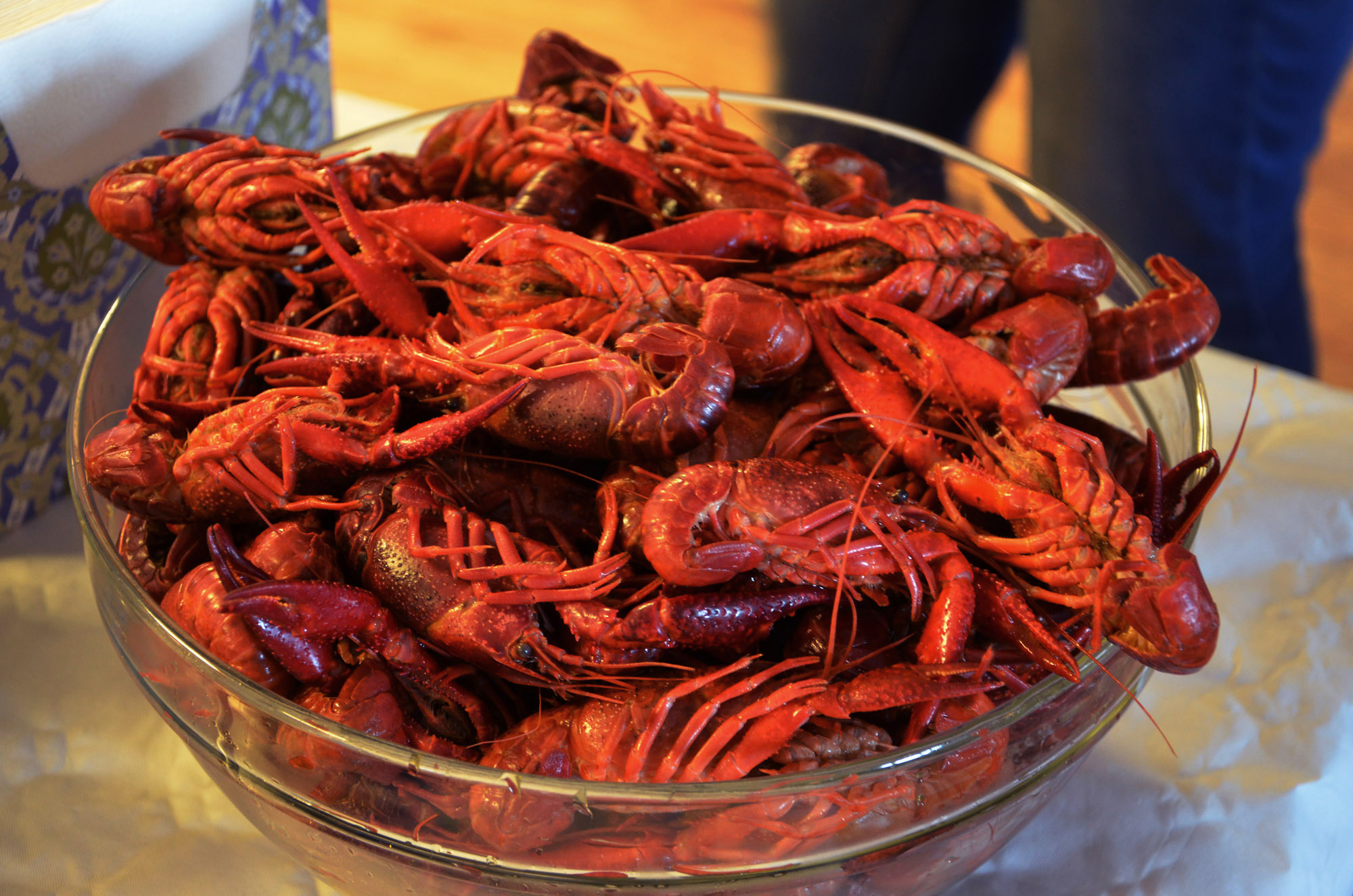 Röste.nu – Röstebilder – Kräft- och surströmmingsfest i Dönjegården 2024