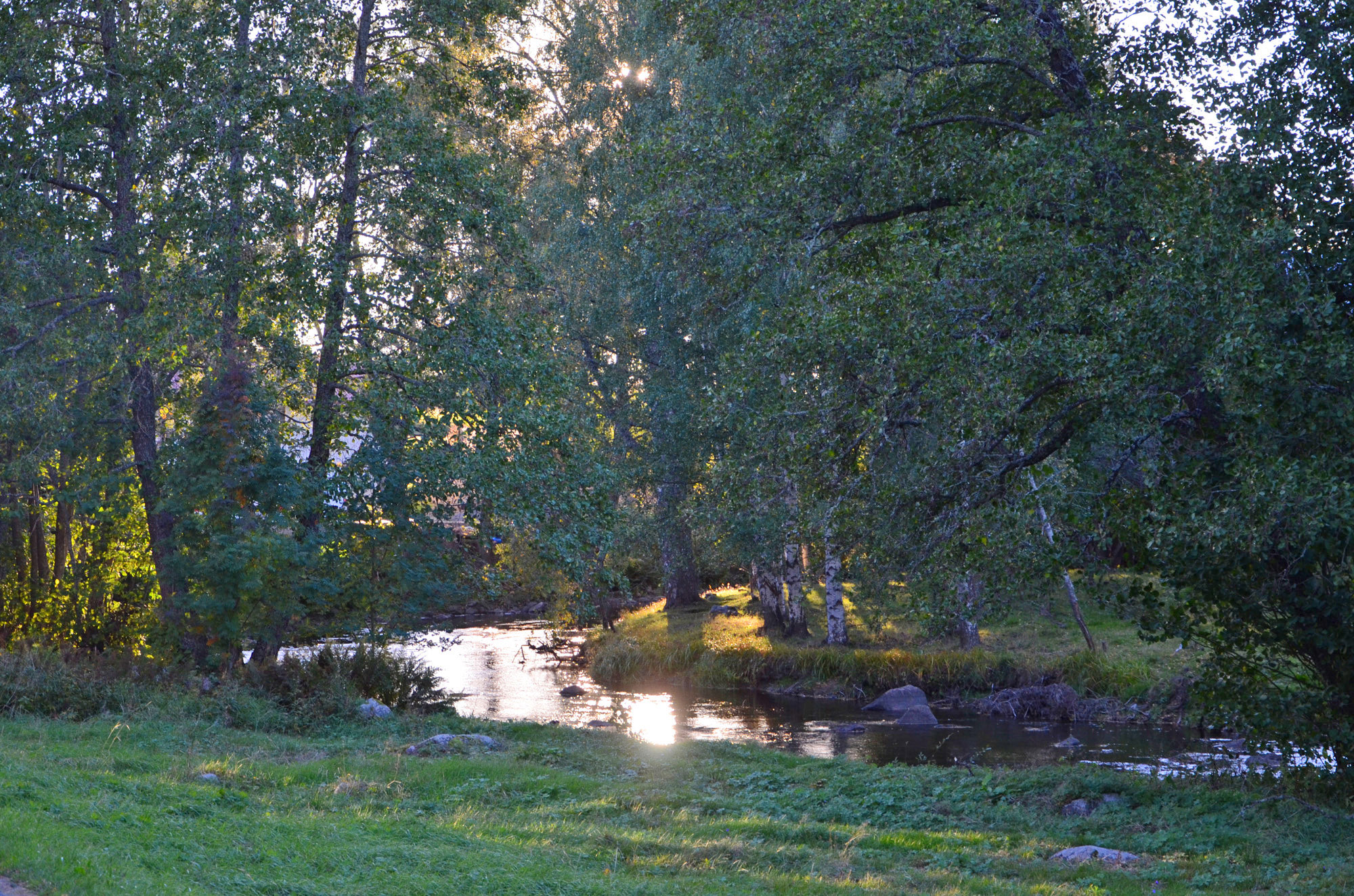 Röste.nu – Röstebilder – Kräft- och surströmmingsfest i Dönjegården 2018