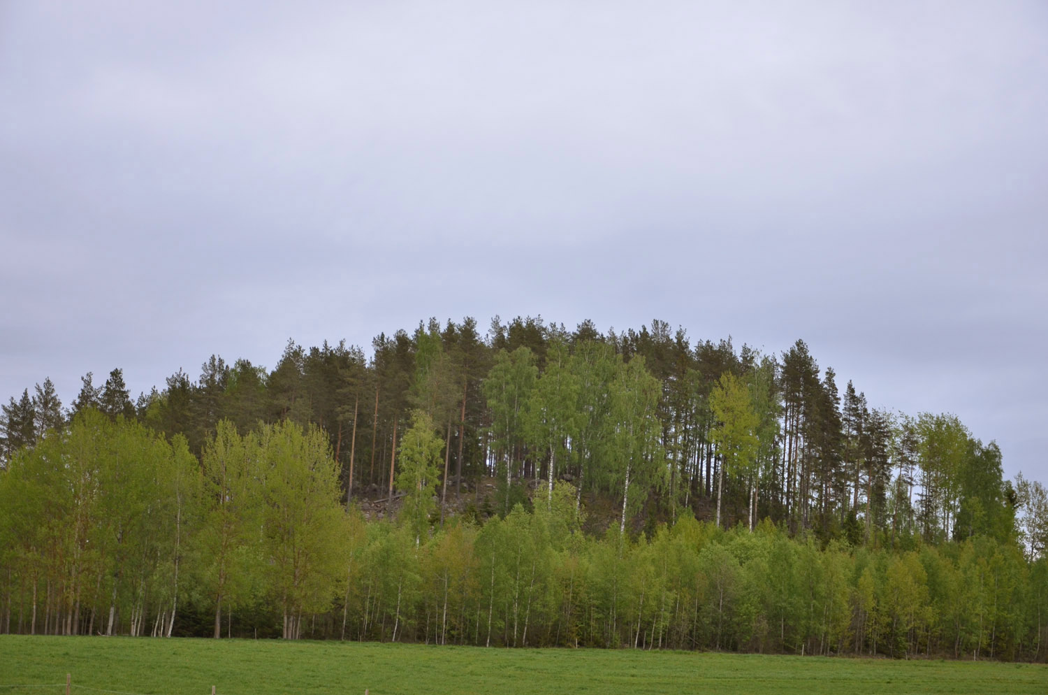 Röste.nu – Röstebilder – Logdans i Farmorsladan 2017