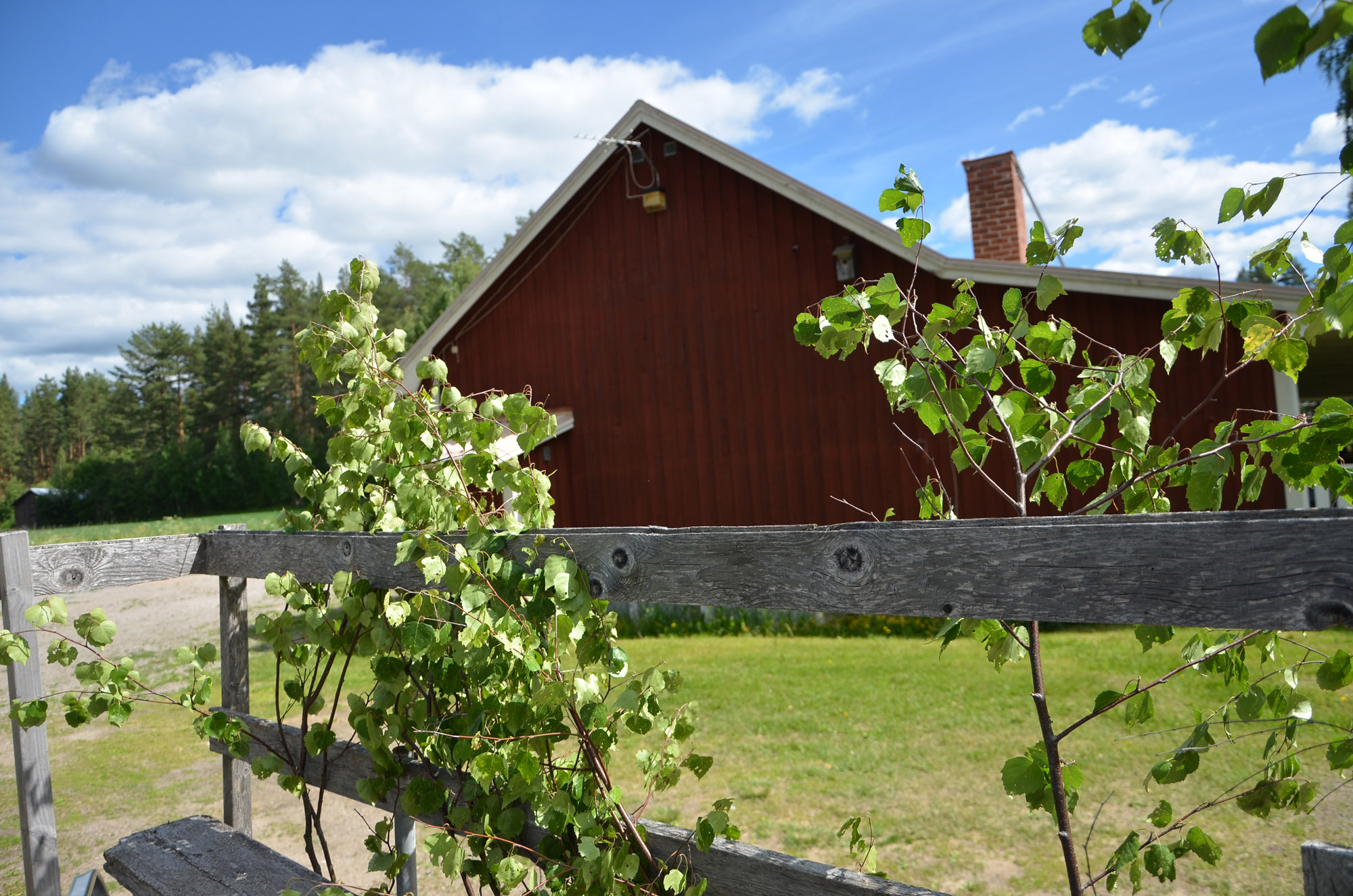 Röste.nu – Röstebilder – Midsommarfirande vid Dönjegården 2024