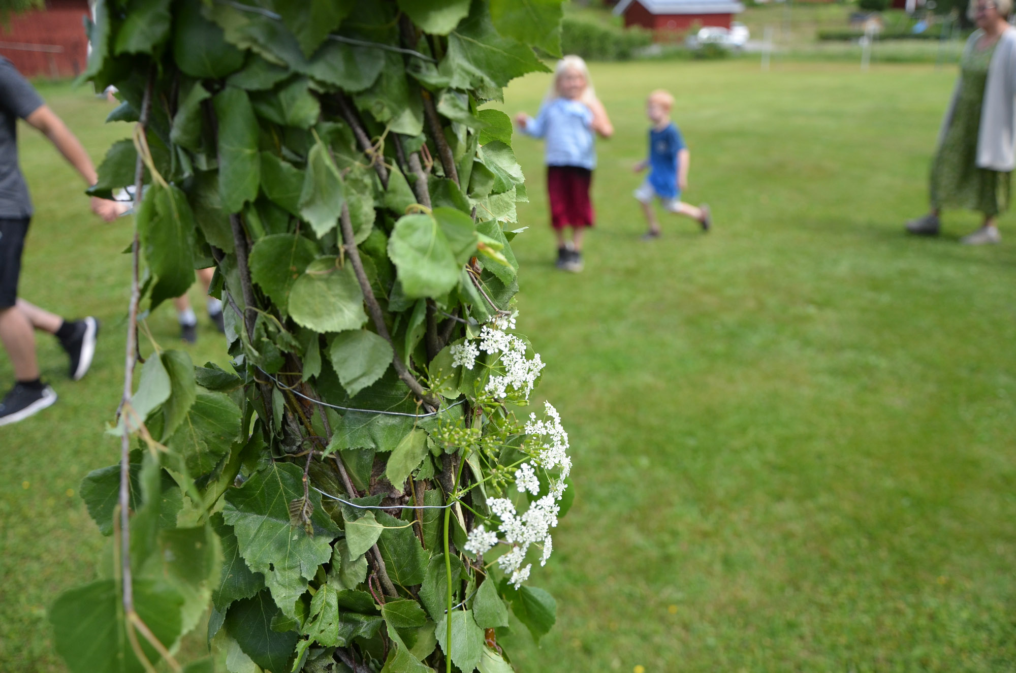 Röste.nu – Röstebilder – Midsommarfirande vid Dönjegården 2024