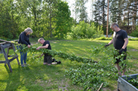 Röste.nu – Röstebilder – Midsommarfirande vid Dönjegården 2025