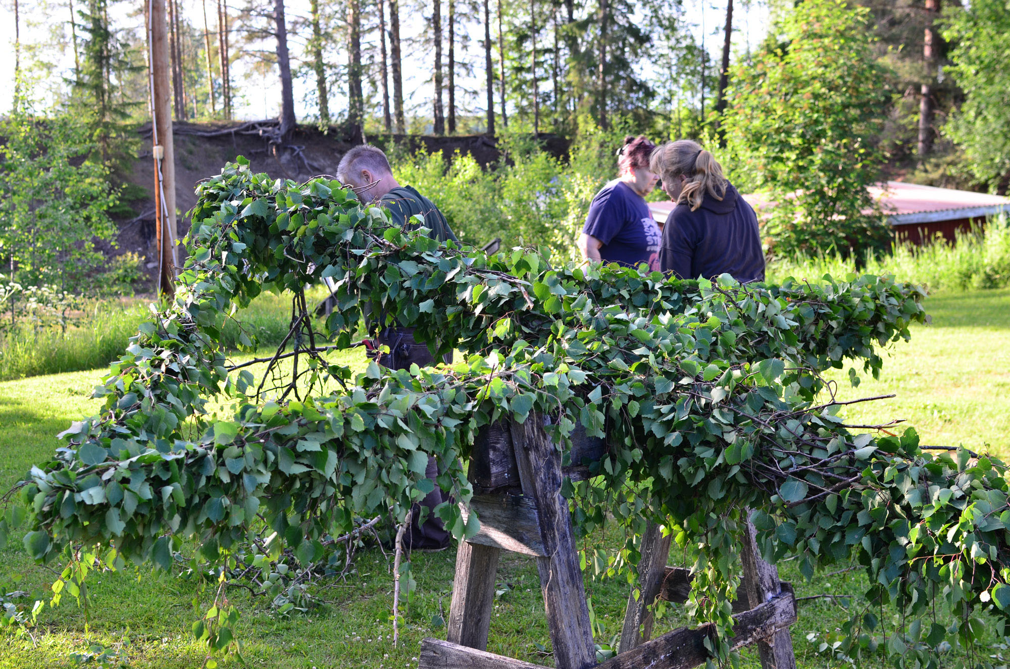 Röste.nu – Röstebilder – Inför midsommarfirandet vid Dönjegården 2026