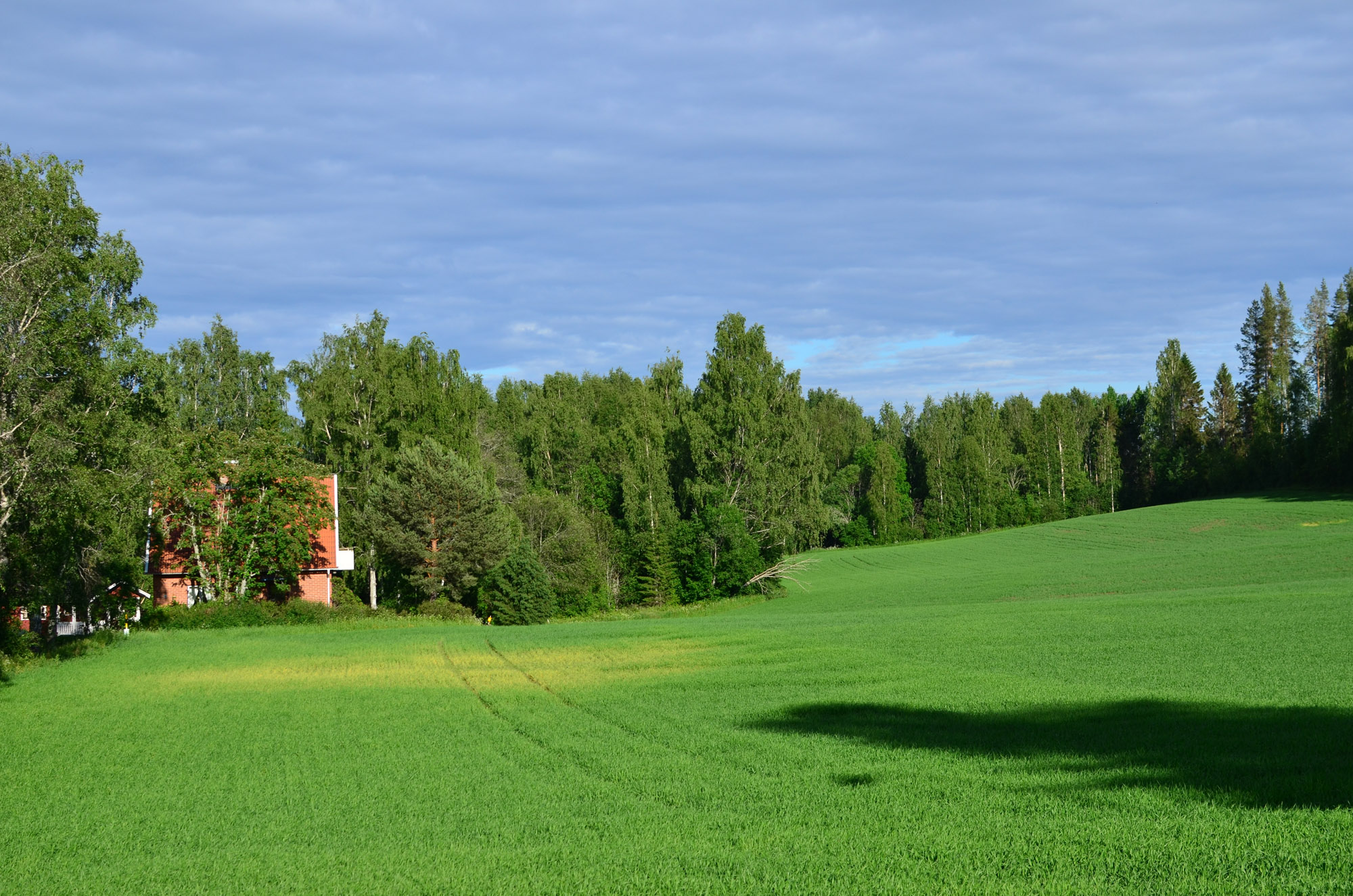 Röste.nu – Röstebilder – Inför midsommarfirandet vid Dönjegården 2026